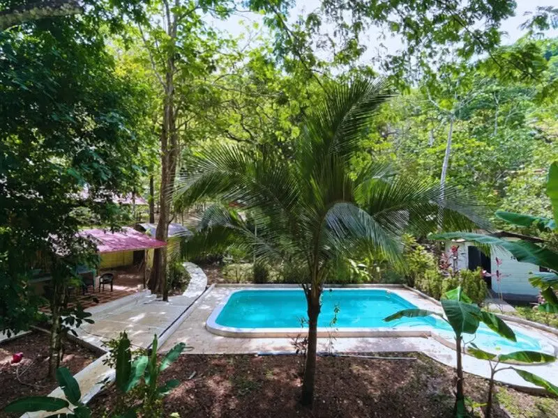 Private Sanctuary Between Jacó & Herradura: Peace & Nature, 10 Min from Everything - image 9