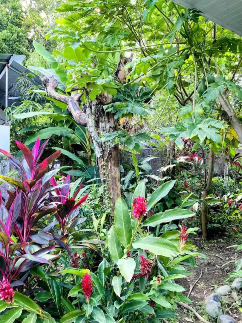 Natural paradise at just 5 minutes from Jaco - image 3