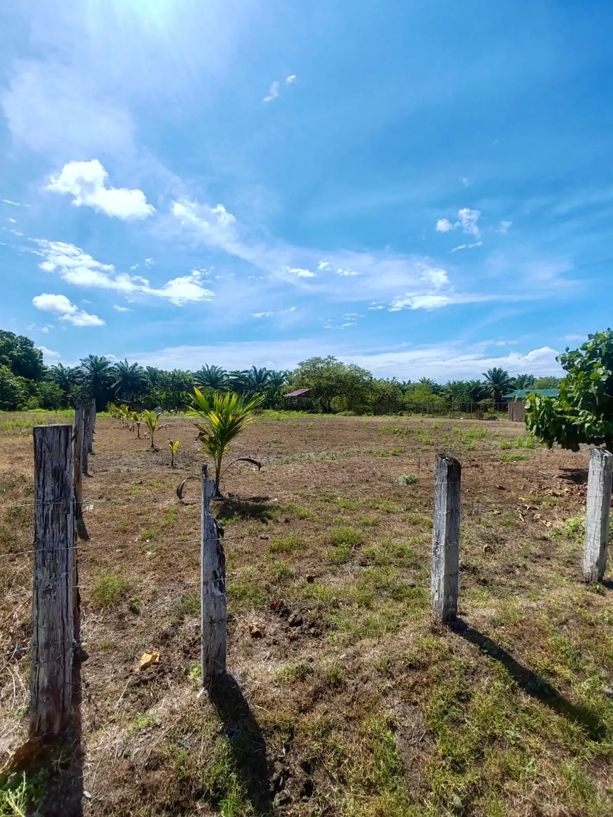 Expansive 4200sqm Land for Development or Farming near Playa Palo Seco, Parrita - image 7