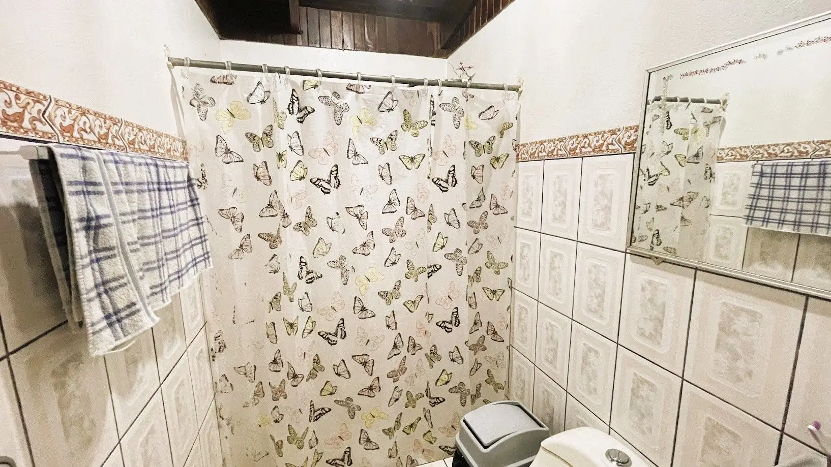 HOUSE WITH COMMERCIAL POTENTIAL FOR SALE IN SAN RAMON, ALAJUELA - image 14