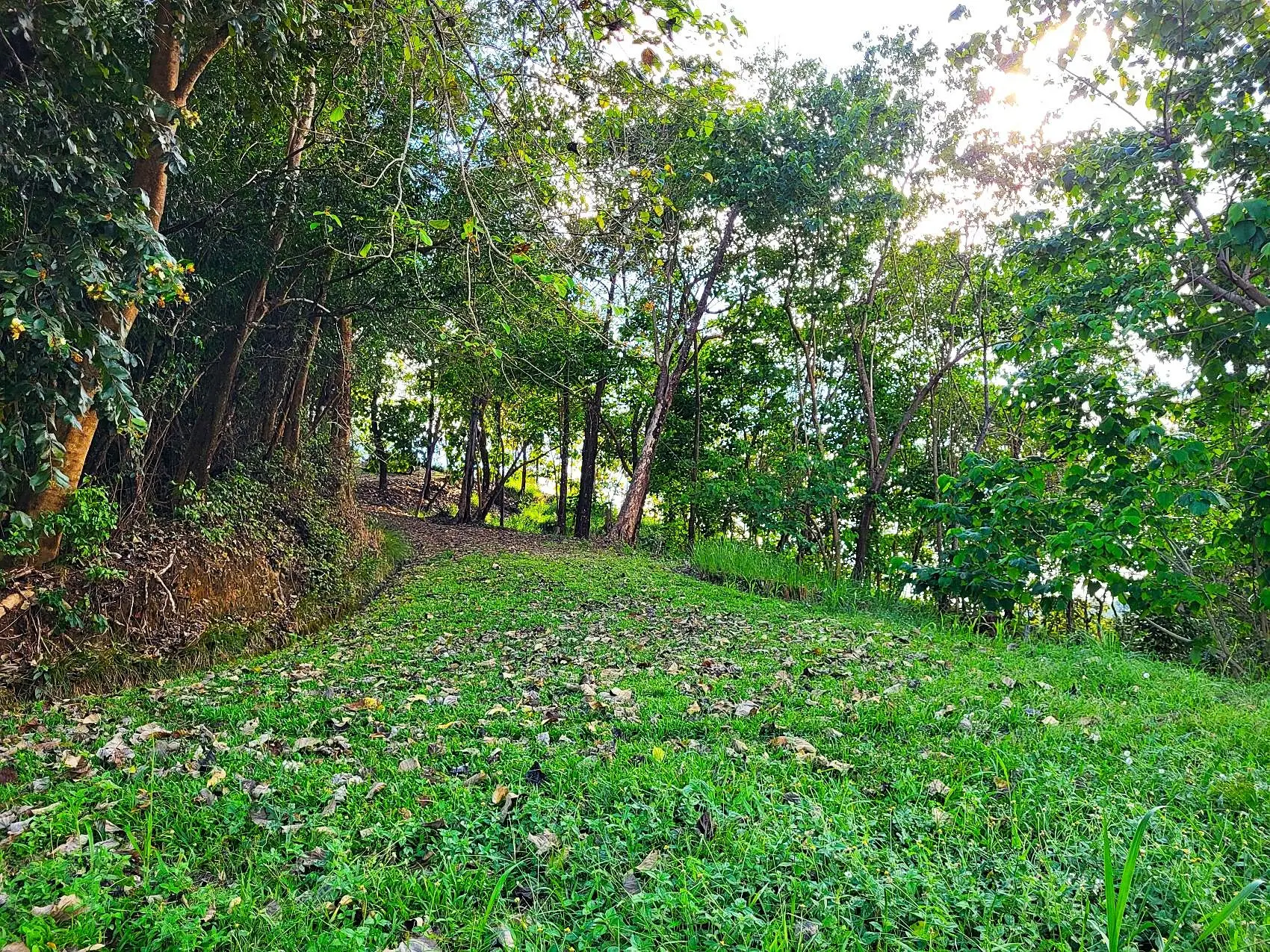 Mountaintop Ocean View Lot in Private, Gated Community Overlooking Tambor - image 11