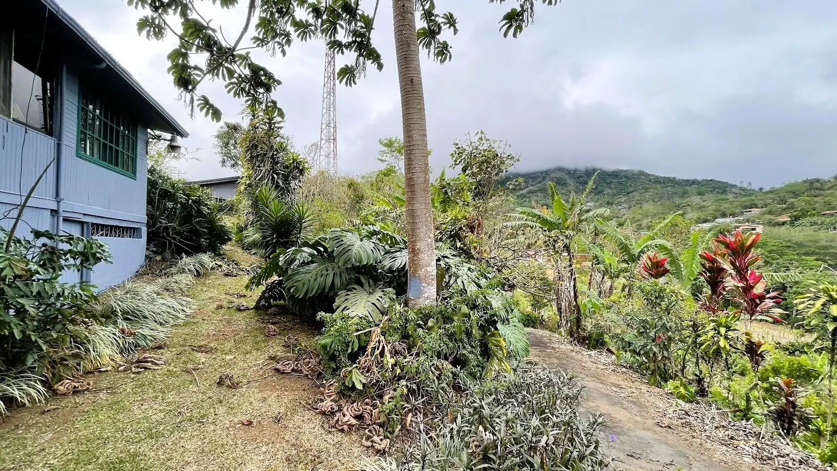 LOT WITH HOUSE FOR SALE IN ZARAGOZA, PALMARES - image 9