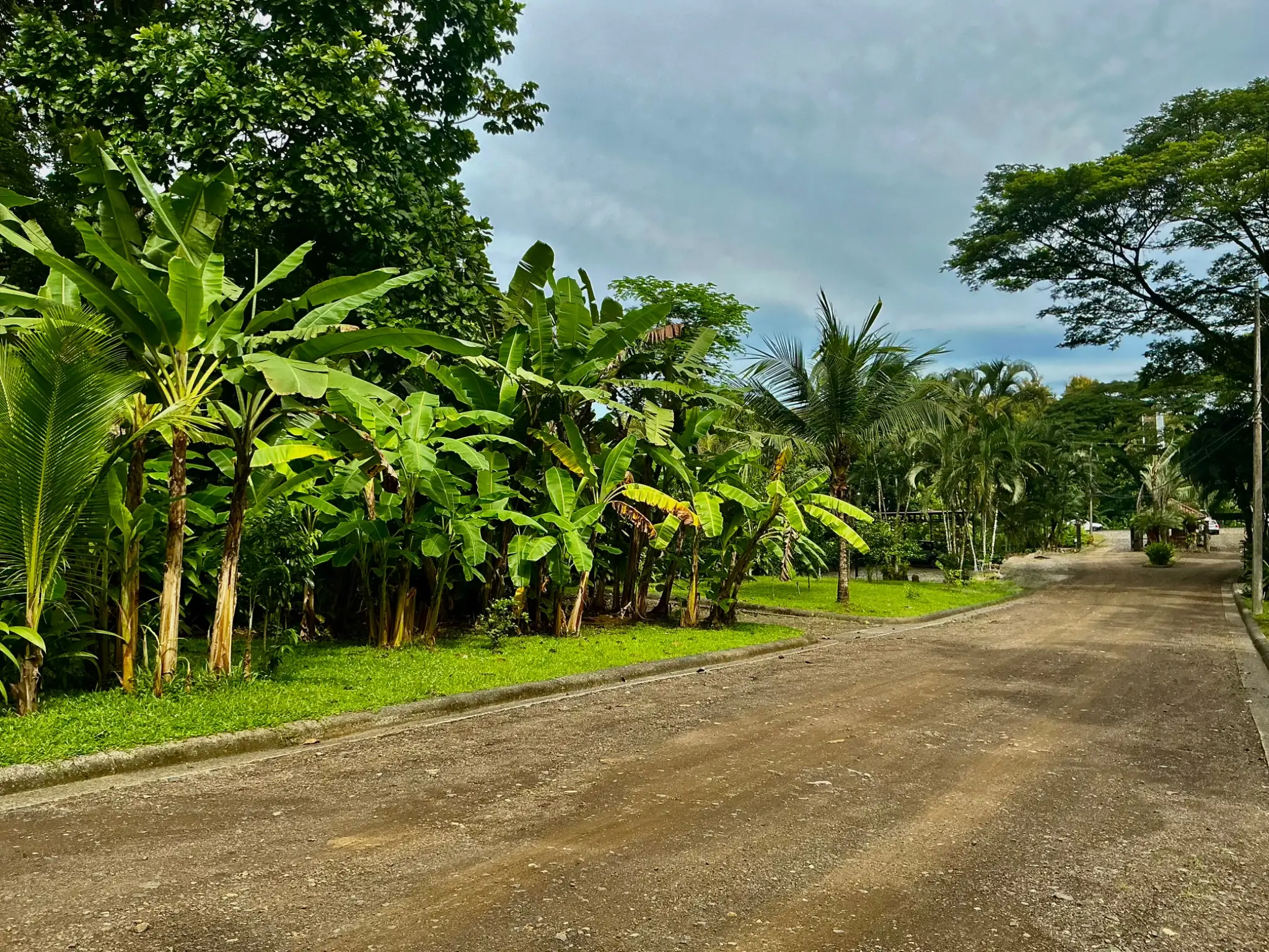  Lot for Sale in Plantation Acres - image 3