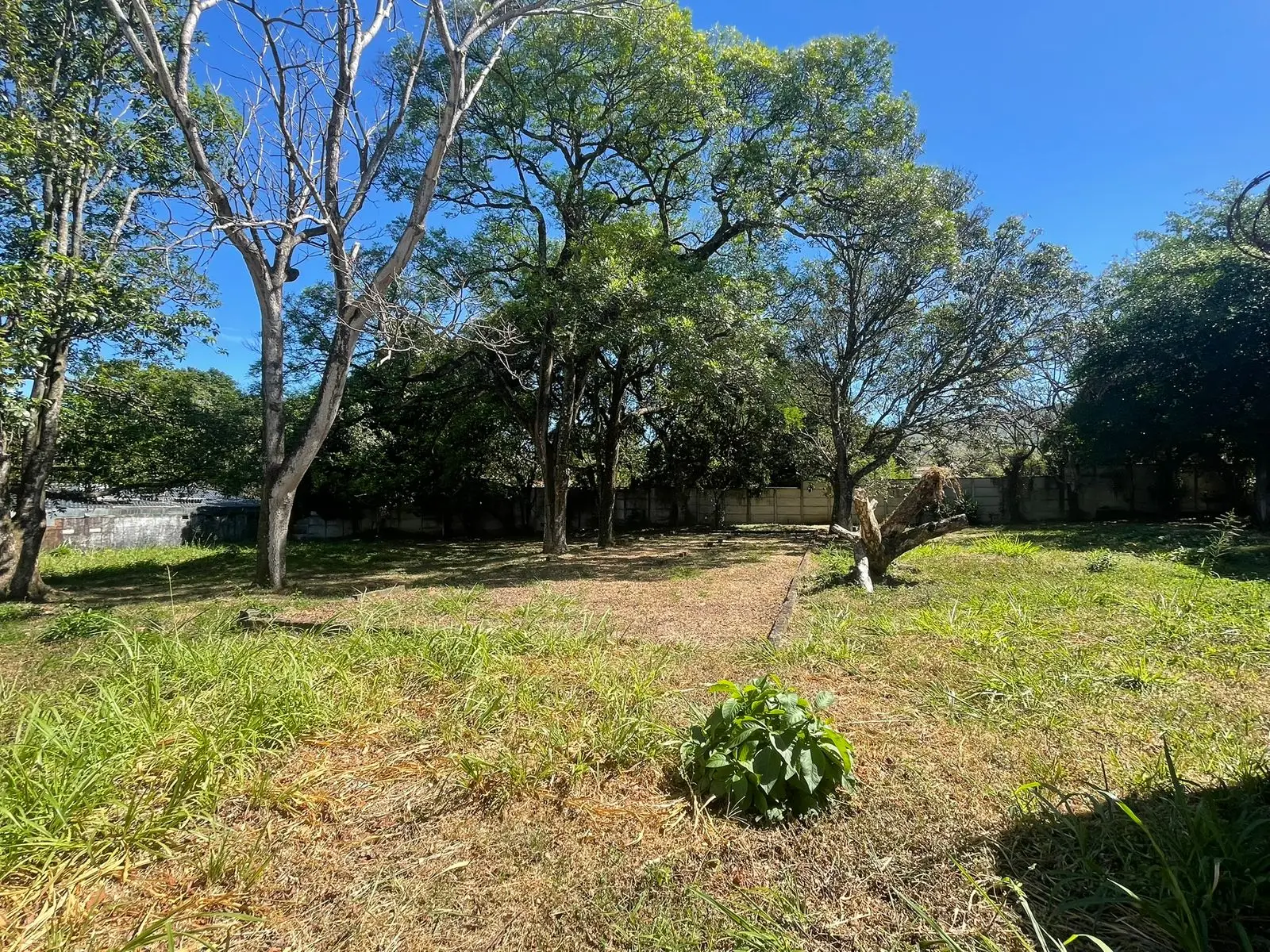 For Sale: large lot in Ciudad Colon  - image 9