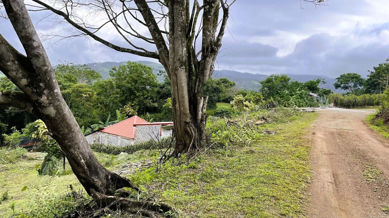 LOT FOR SALE IN SAN PEDRO, SAN RAMON - image 11