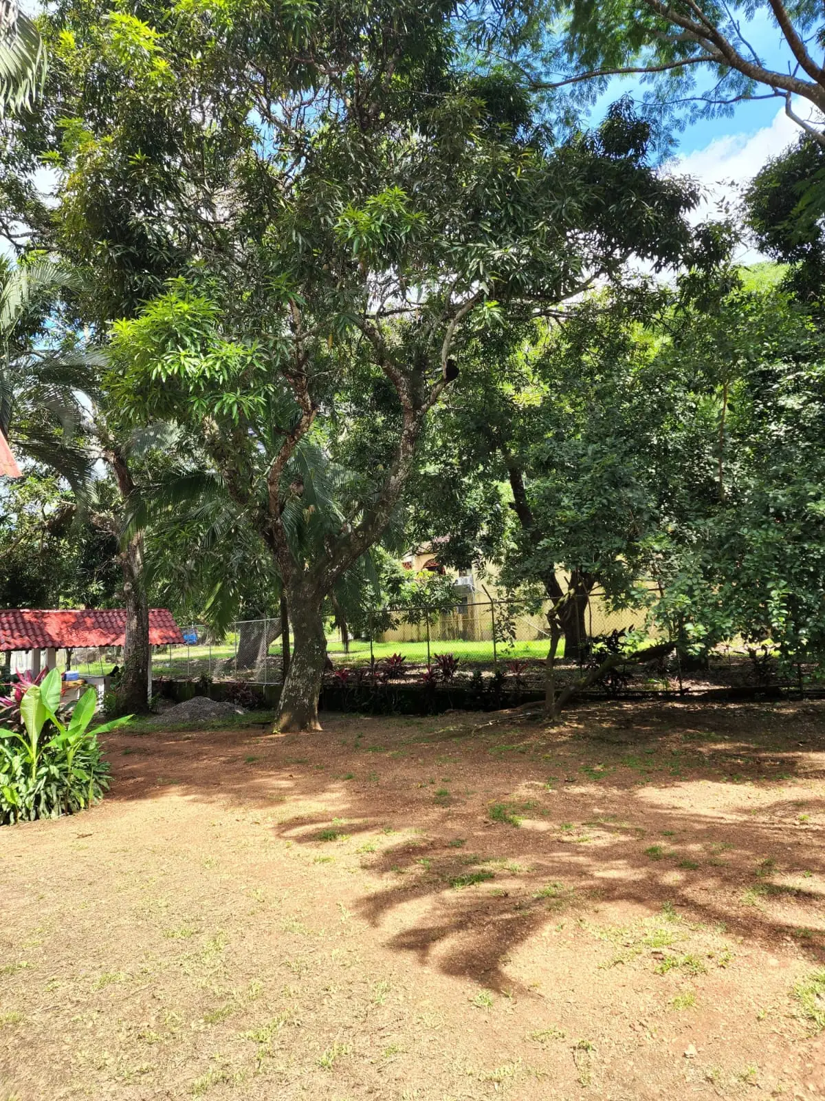 Oportunidad de inversión en Playa Tambor-Puntarenas Casa más Apartamento, Piscina y Lote - image 4