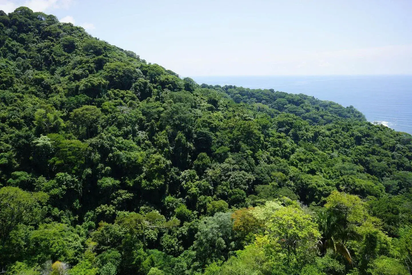 Prime Development Land in Gated Community, Playa Agujas - image 10