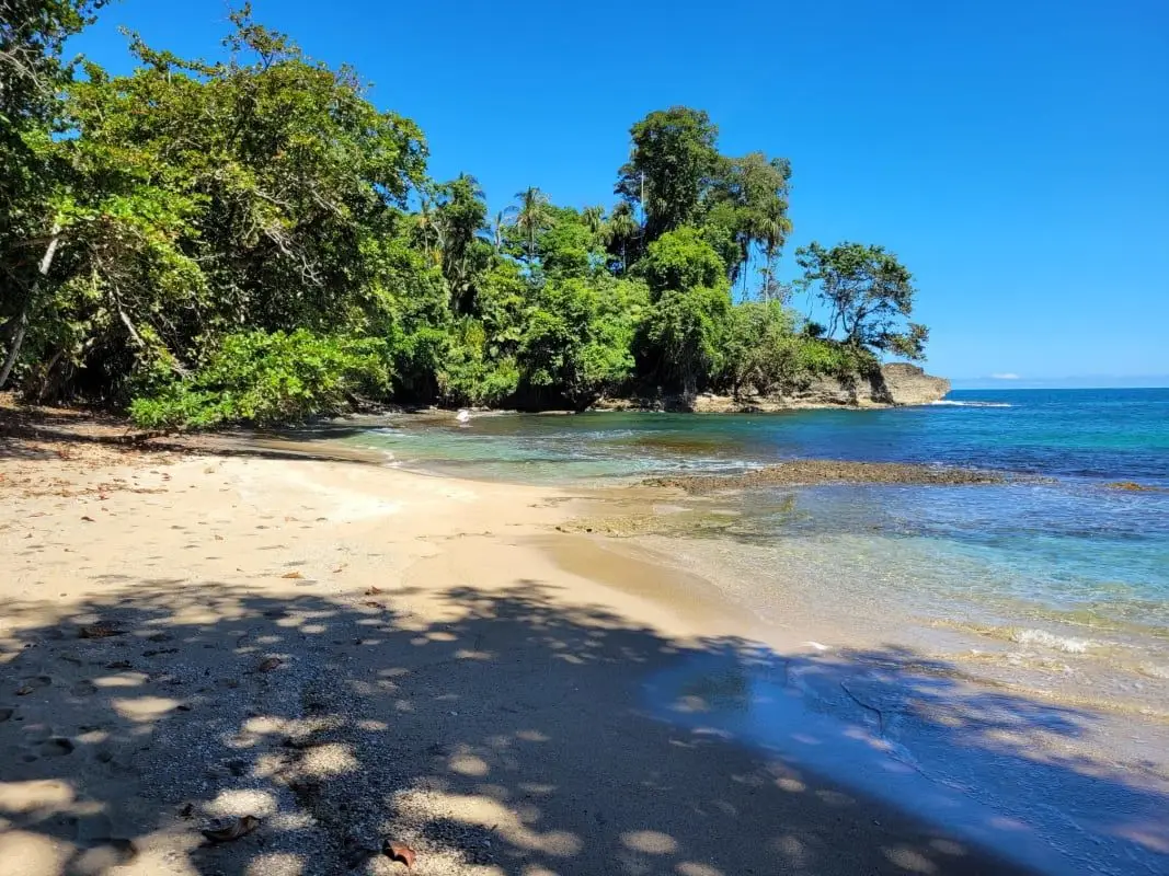 BEACHFRONT AND BIOLOGICAL RESERVE LAND IN LIMON - image 2