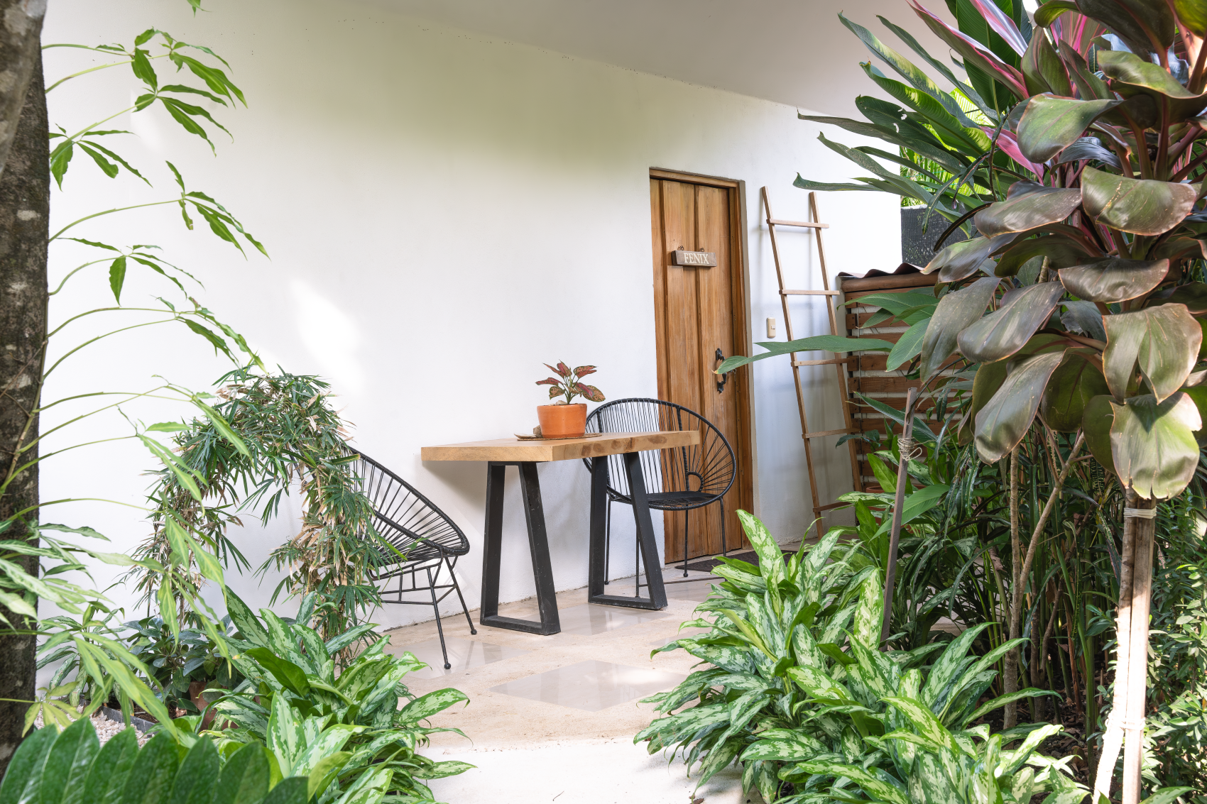 Turnkey Apartment Investment in Prime Santa Teresa Location – Just Steps from the Beach and Surf - image 8