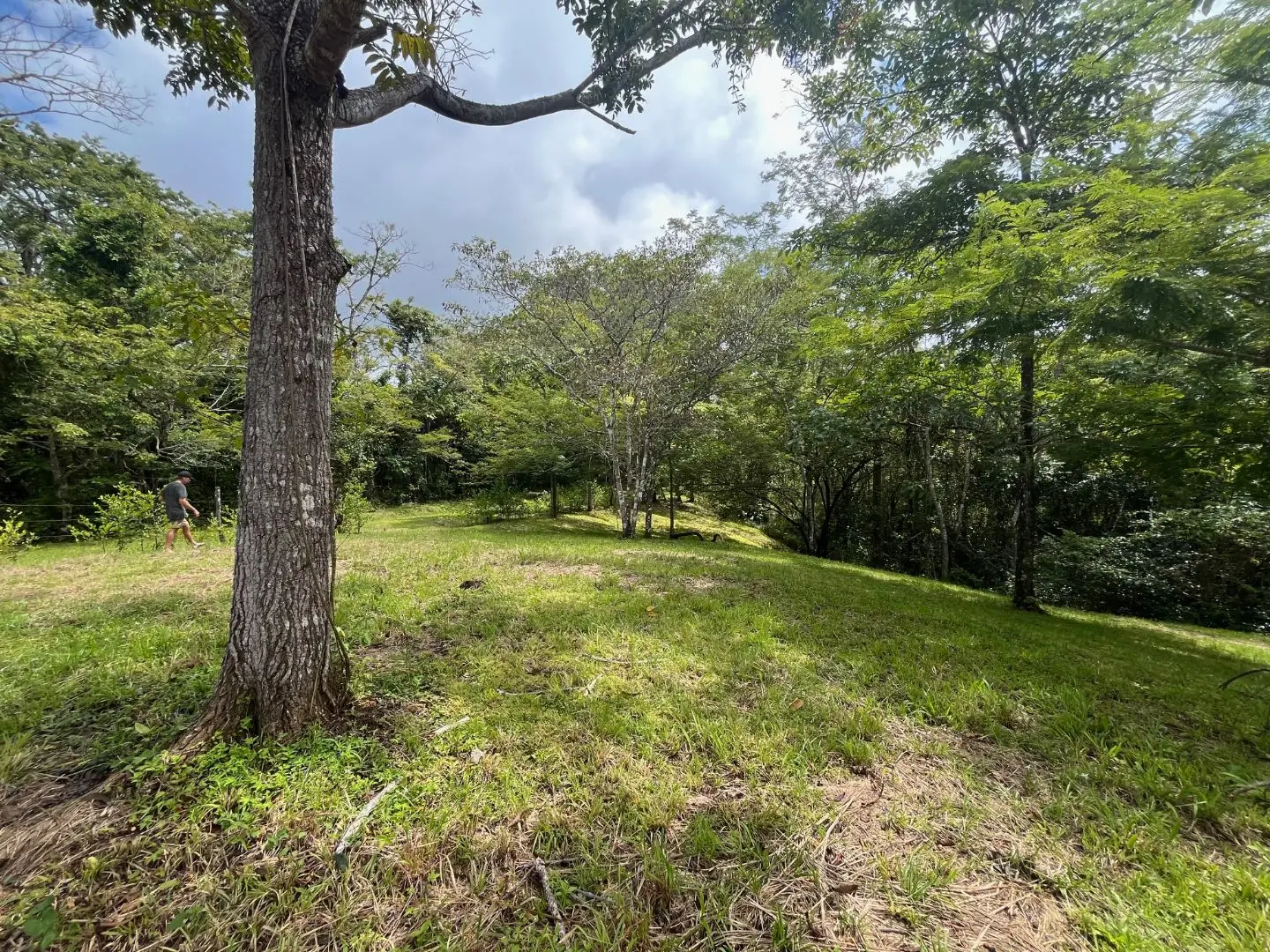 Beautiful Ready to Build Lot in Delicias,  Great Price with Project and Permits included - image 9