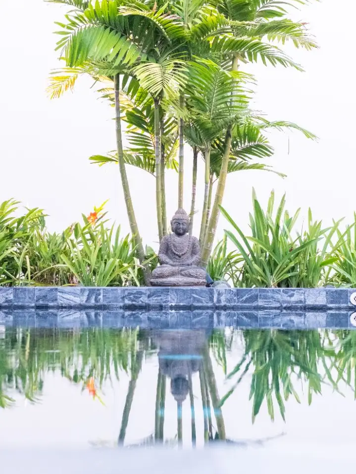 Luxury 5-Bedroom Home in Jacó, Costa Rica - image 6