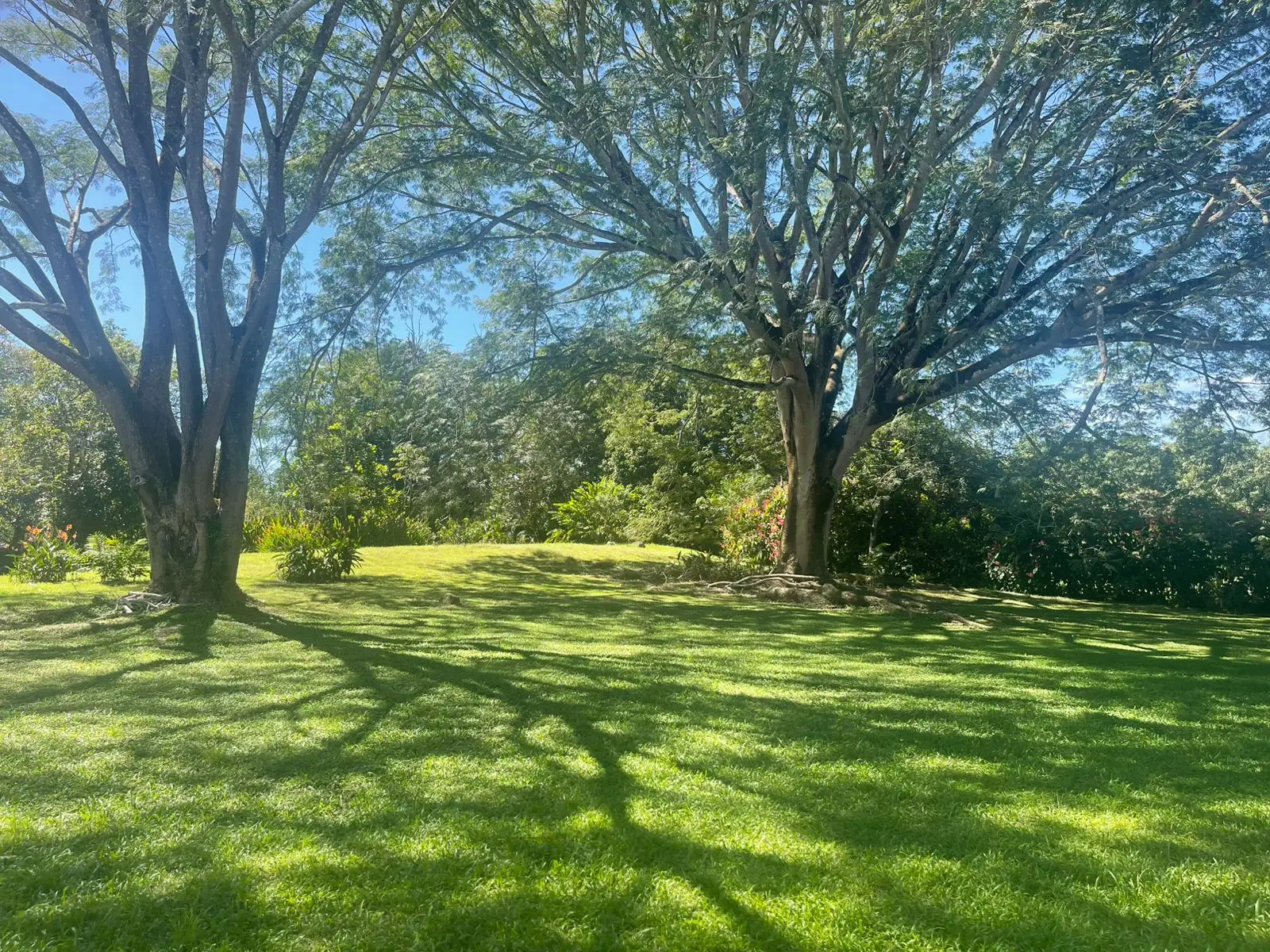 A hidden paradise in Orotina: 4,919 m² to create the life you dream of - image 9