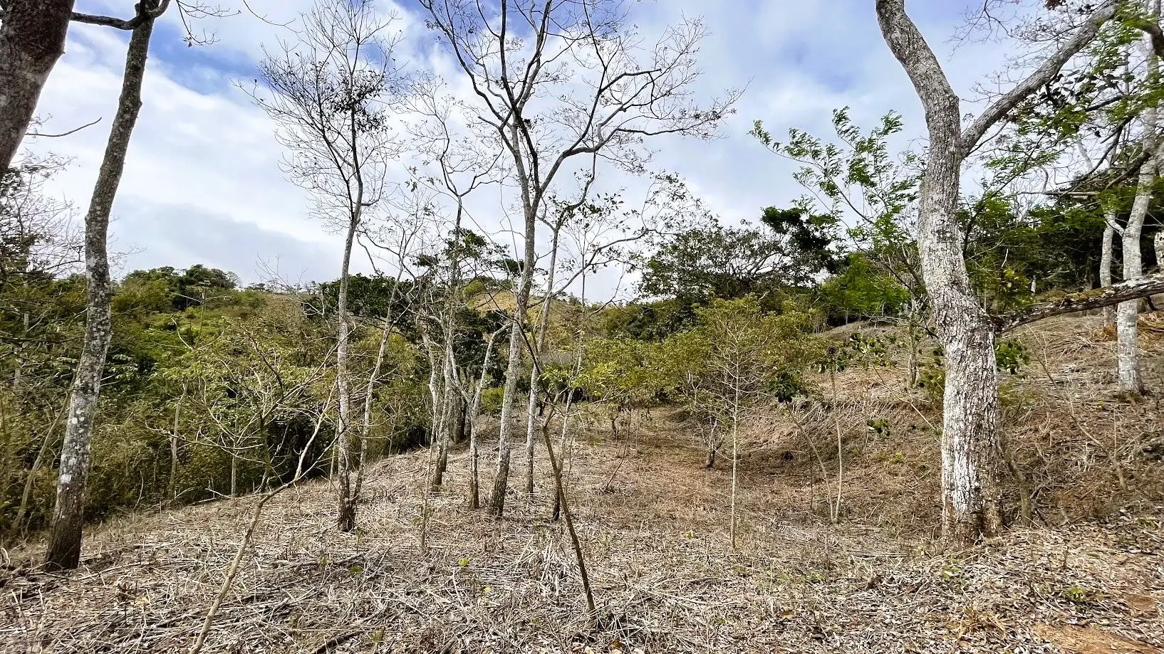 LOT FOR SALE IN SAN PEDRO, SAN RAMON - image 6