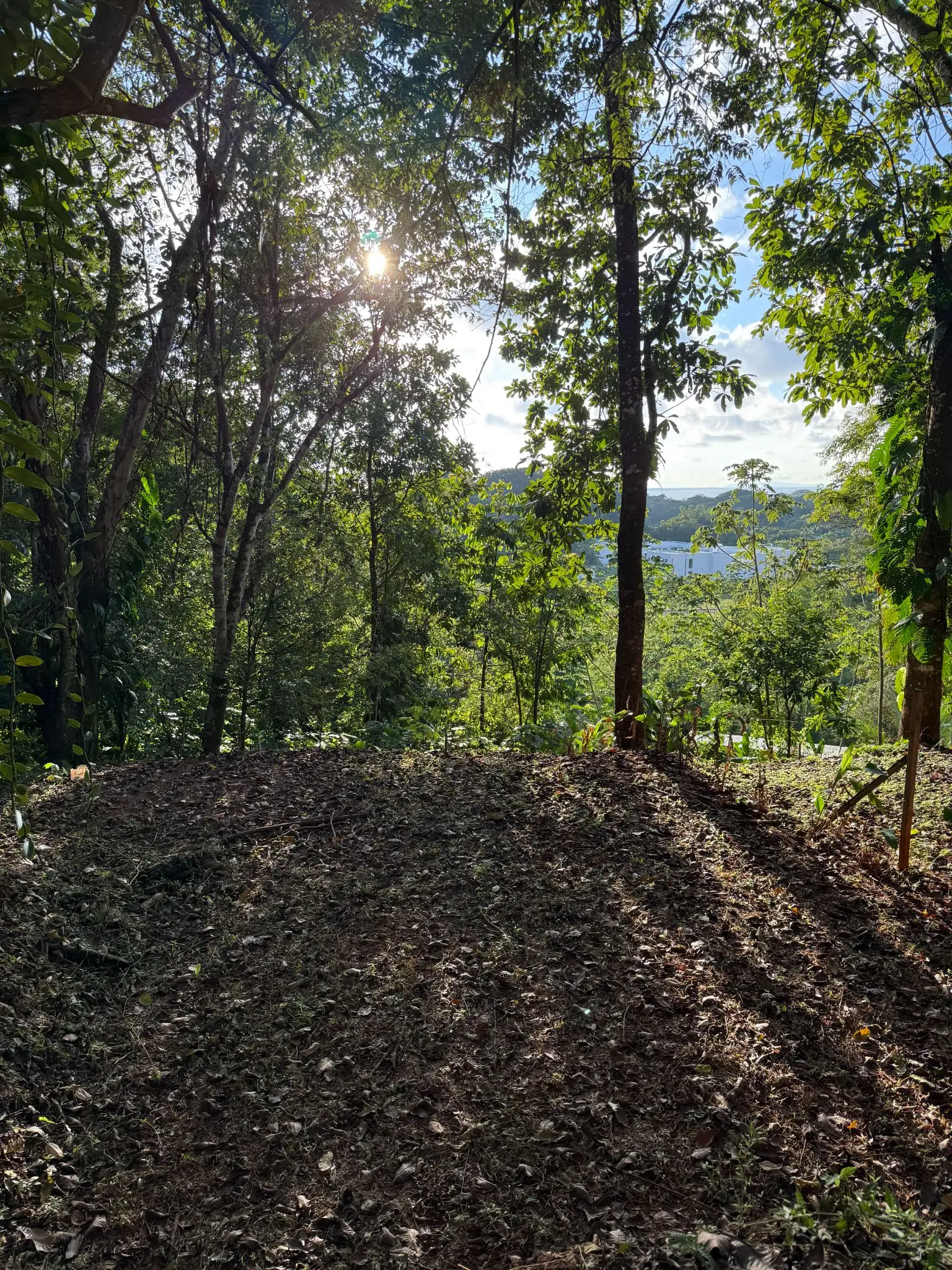 🌊 Luxury Tropical Investment: Ocean & Jungle View Lot with Approved Permits - image 12