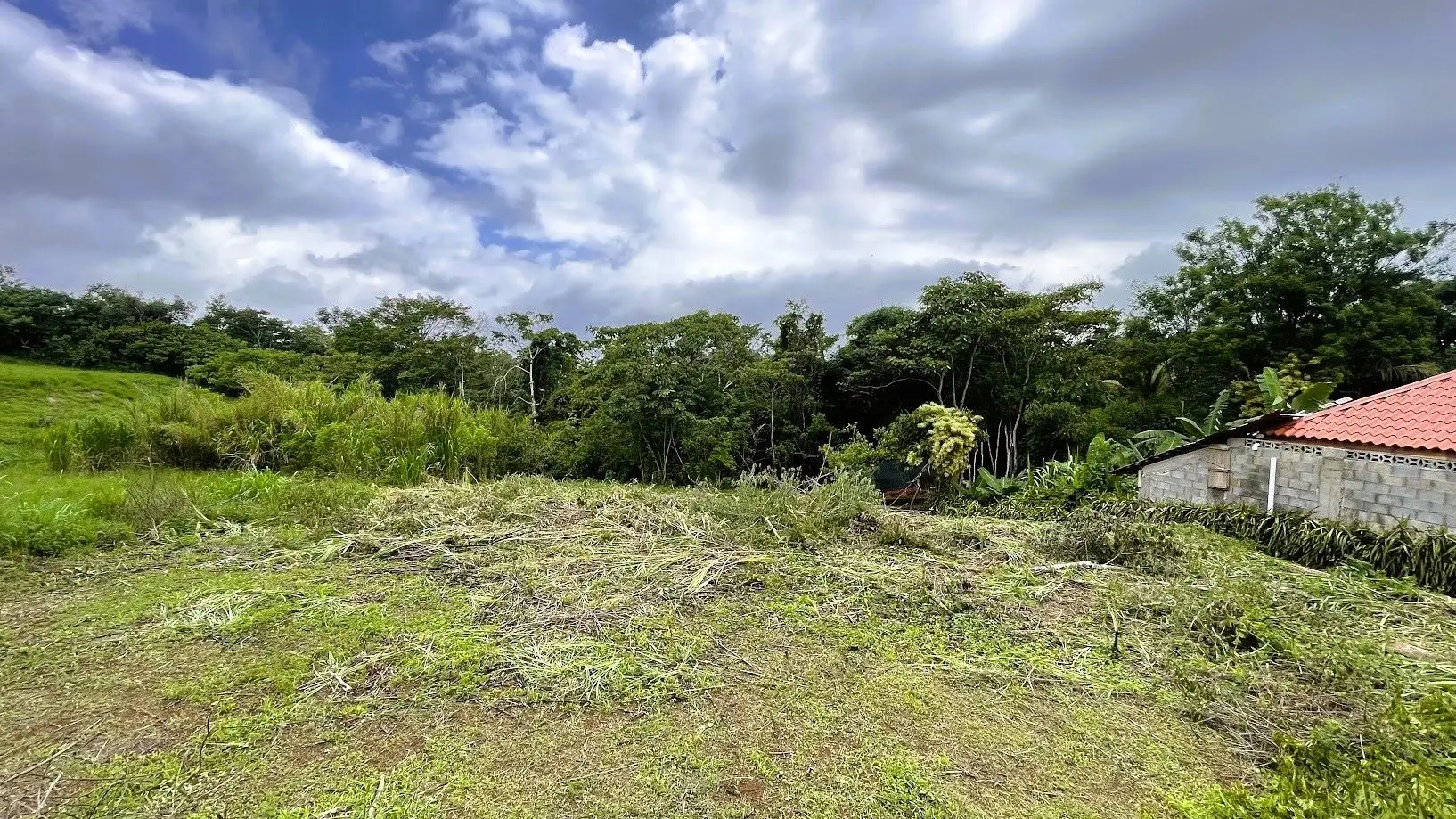 LOT FOR SALE IN SAN PEDRO, SAN RAMON - image 9