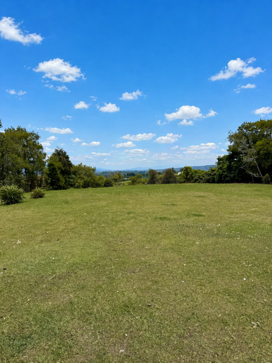 SALE / Coronado Mountain Sanctuary - image 2