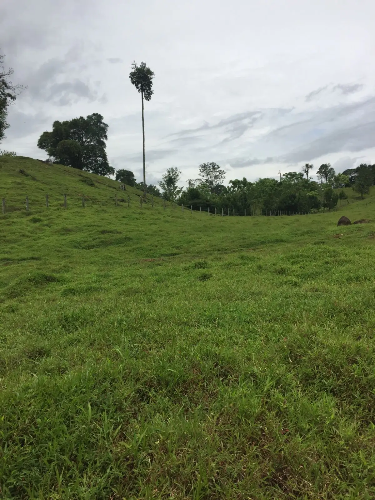 Majestic 83-Hectare Ranch & Agricultural Land in Sarapiquí, Costa Rica | Develop Your Dream - image 9