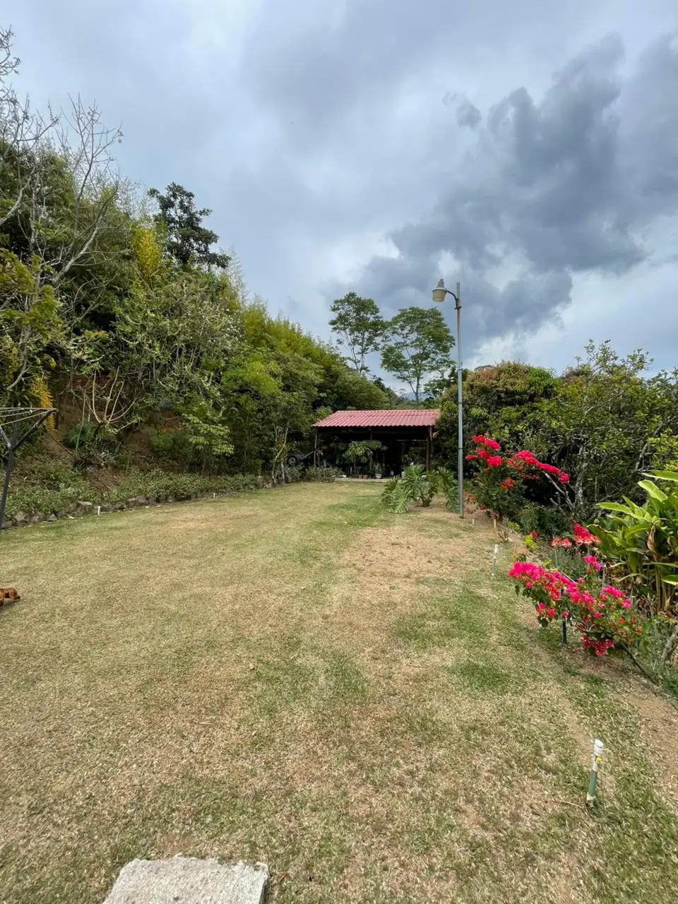 Stunning 3-Bed Modern Home with Expansive Gardens in Grecia, Costa Rica - image 9