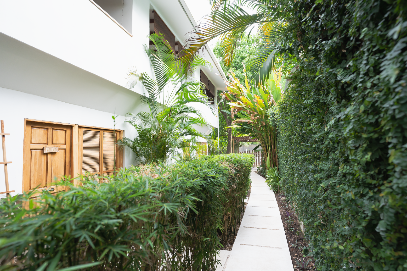 Turnkey Apartment Investment in Prime Santa Teresa Location – Just Steps from the Beach and Surf - image 4