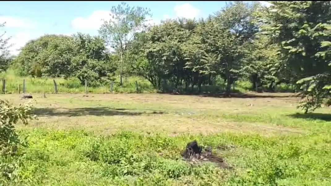 Prime Land in La Fortuna, Bagaces - Build Your Dream Home! - image 6