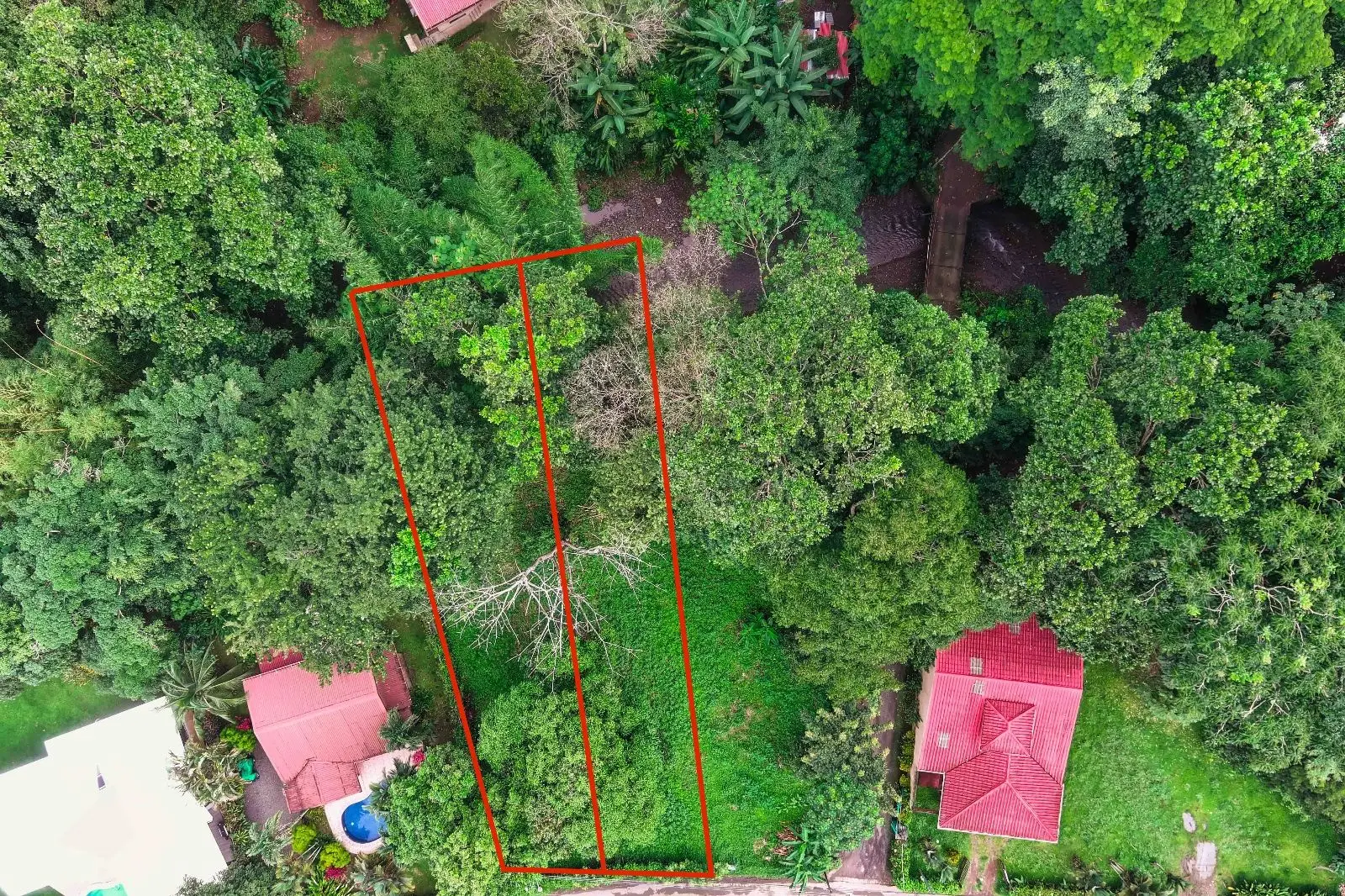 Affordable Lot in Jacó, Costa Rica - Perfect Investment! - image 3