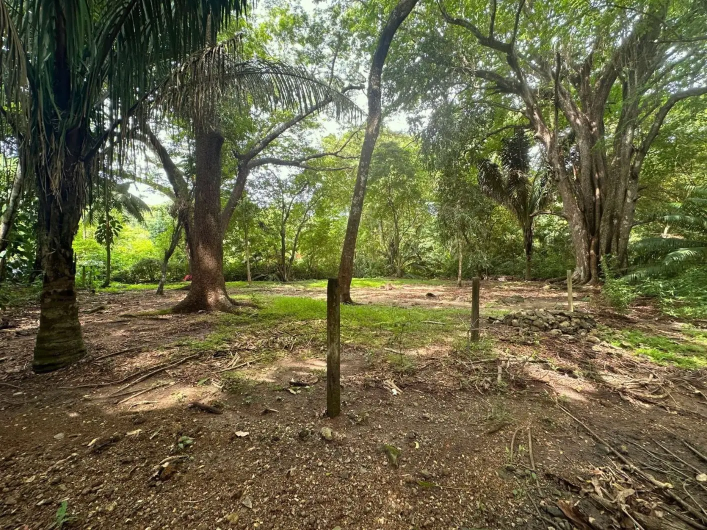 Exclusive Beach property in Playa Hermosa, Costa Rica – ready for a luxury villa or boutique hotel, with direct beach access and permits in place. - image 8