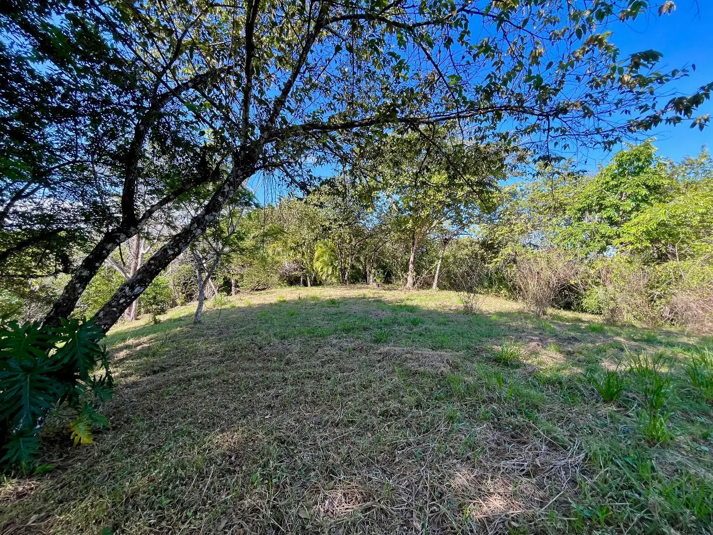 4000m2 Lot with parcial ocean views  in Delicias close to Montezuma and 20 min from Santa Teresa Ready to Build - image 12