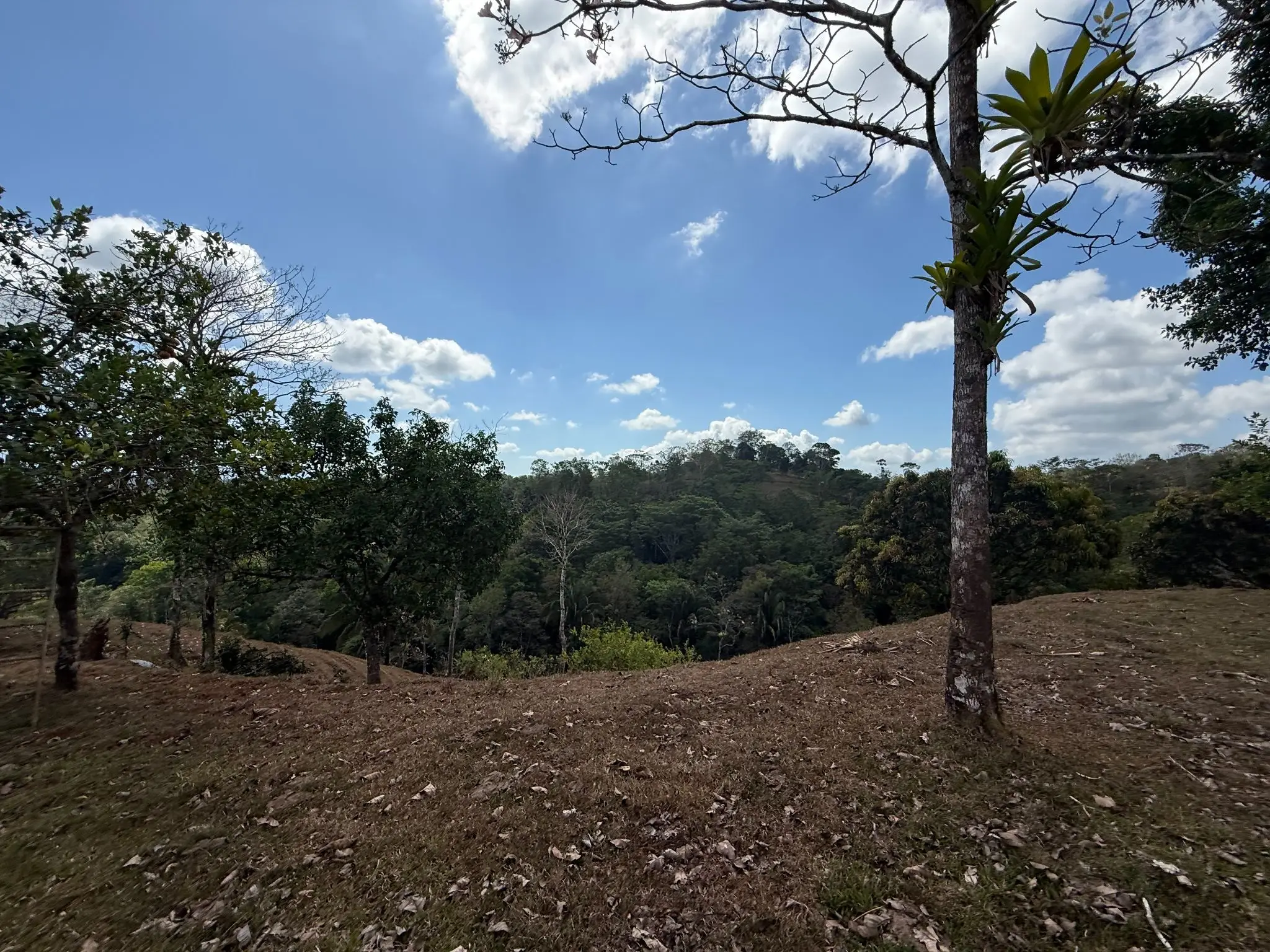 Eco-Luxury Mountain Santuary  11.48 Hectares of Pristine Paradise: Lush Forest, River & Farm Potential in Arenal Puriscal , San Jose  - image 8