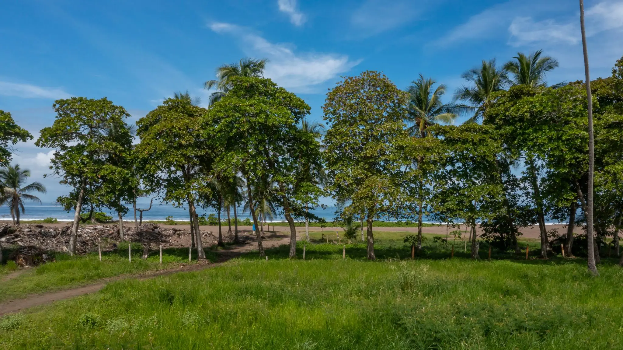 Oceanfront Modern Living: 2-Bed, 2-Bath Apartment in Jacó with Resort Amenities - image 13