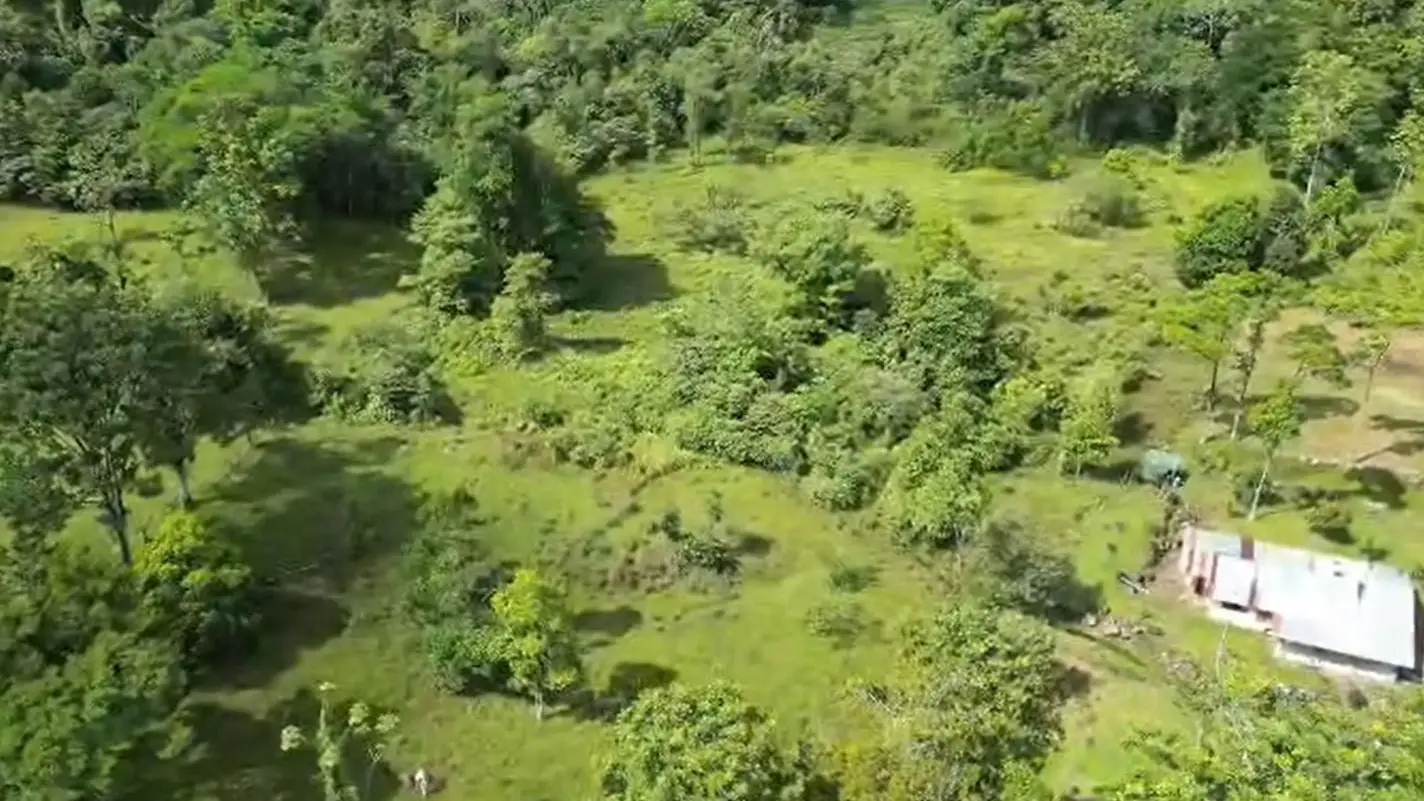 For Sale: Guapiles, Limón: Vast 6.2 Hectare Farm - image 8