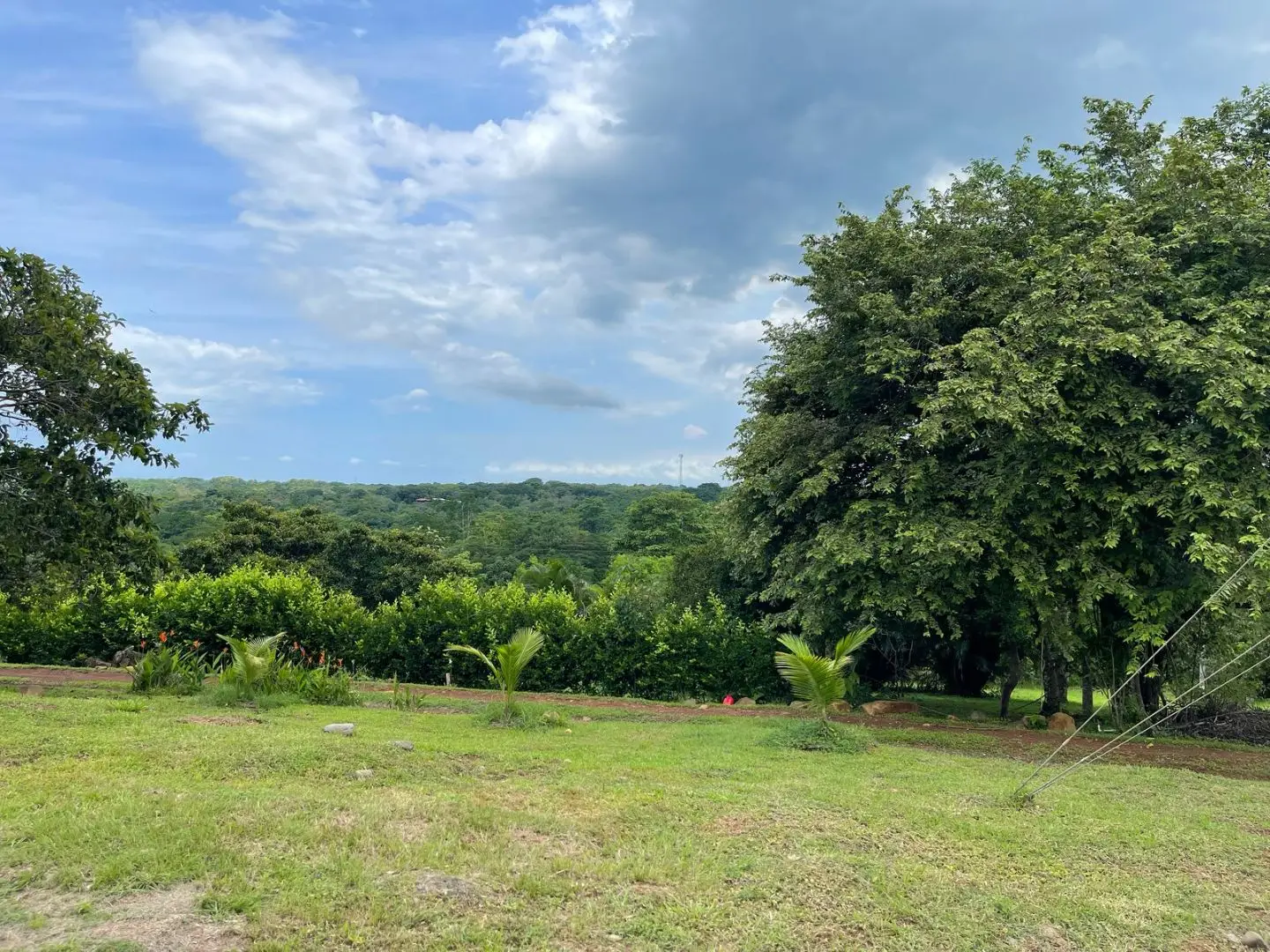 Hacienda Mi Quinta in San Mateo de Alajuela, Orotina - image 4