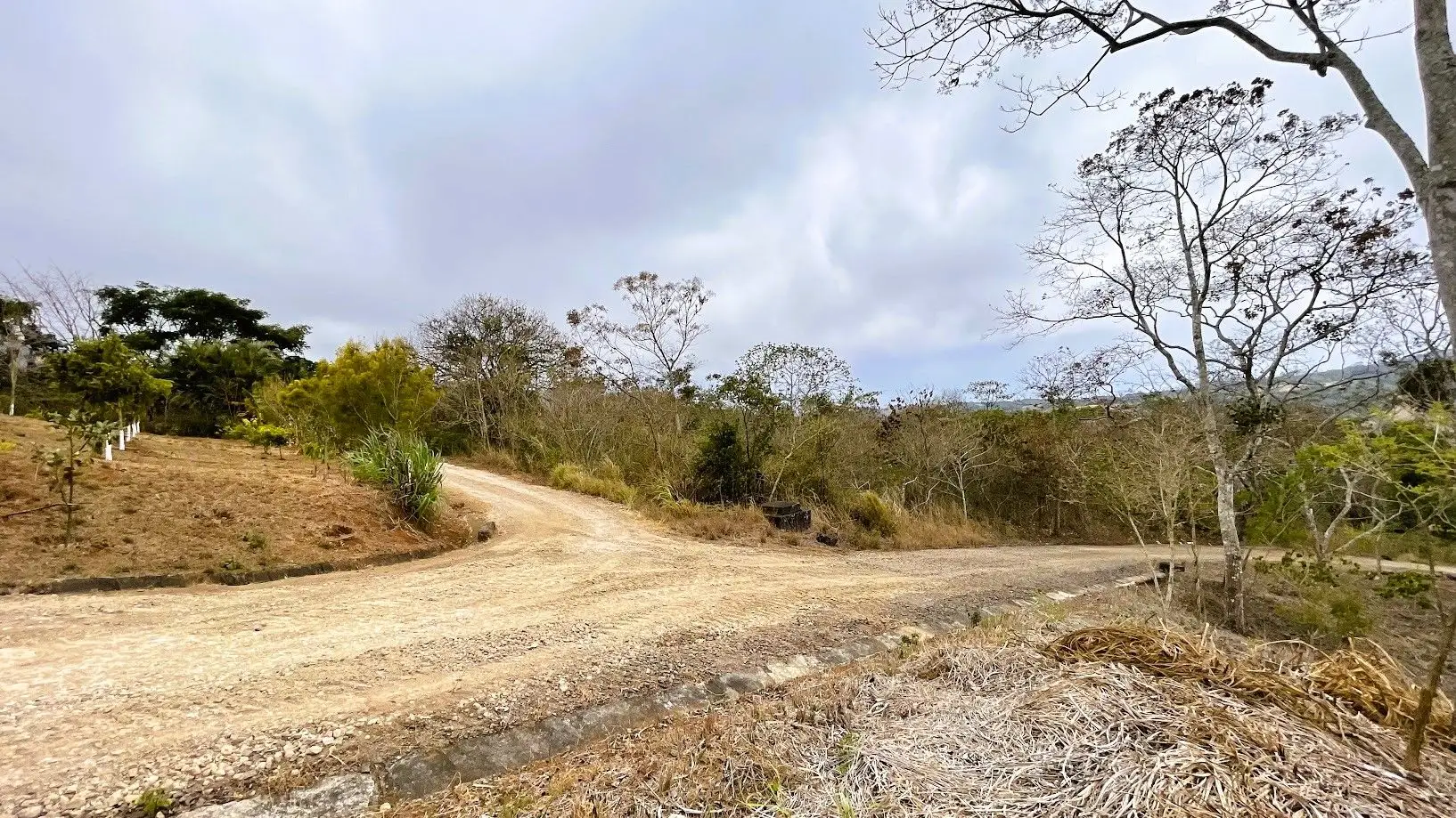 LOT FOR SALE IN SAN PEDRO, SAN RAMON - image 4