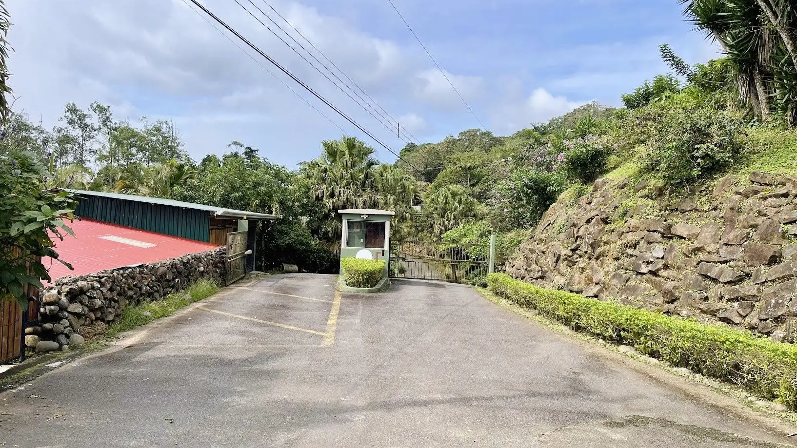 OCEAN VIEW LOT FOR SALE IN SANTIAGO, SAN RAMON - image 4