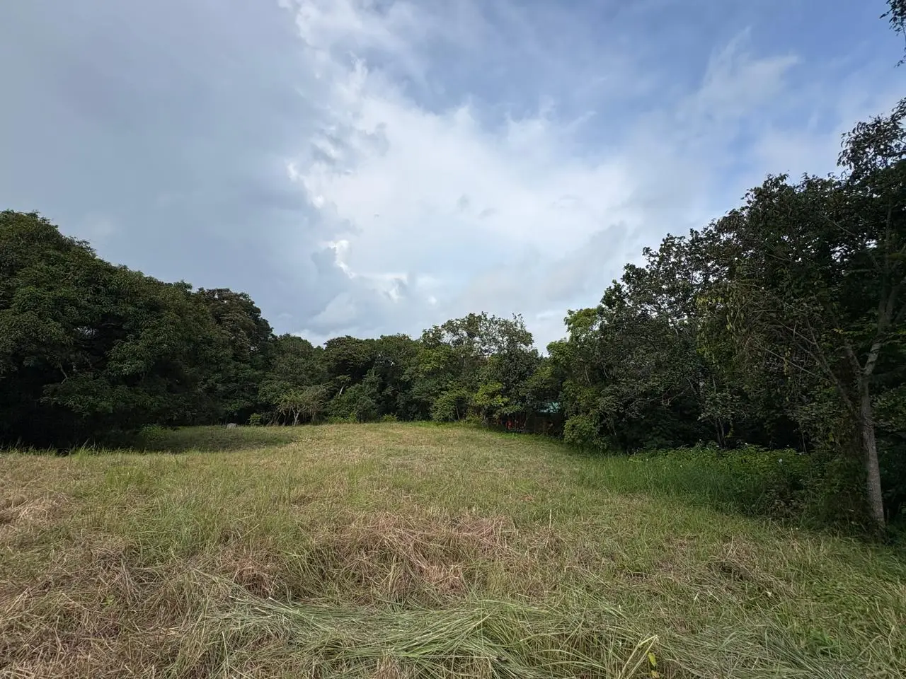 6,179 m² mixed-use land  in Delicias, minutes from  Montezuma and Santa Teresa - image 1