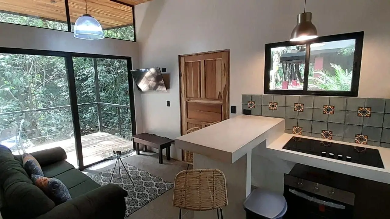  Income-Producing Jungle Retreat 2 houses in Santa Teresa - image 3