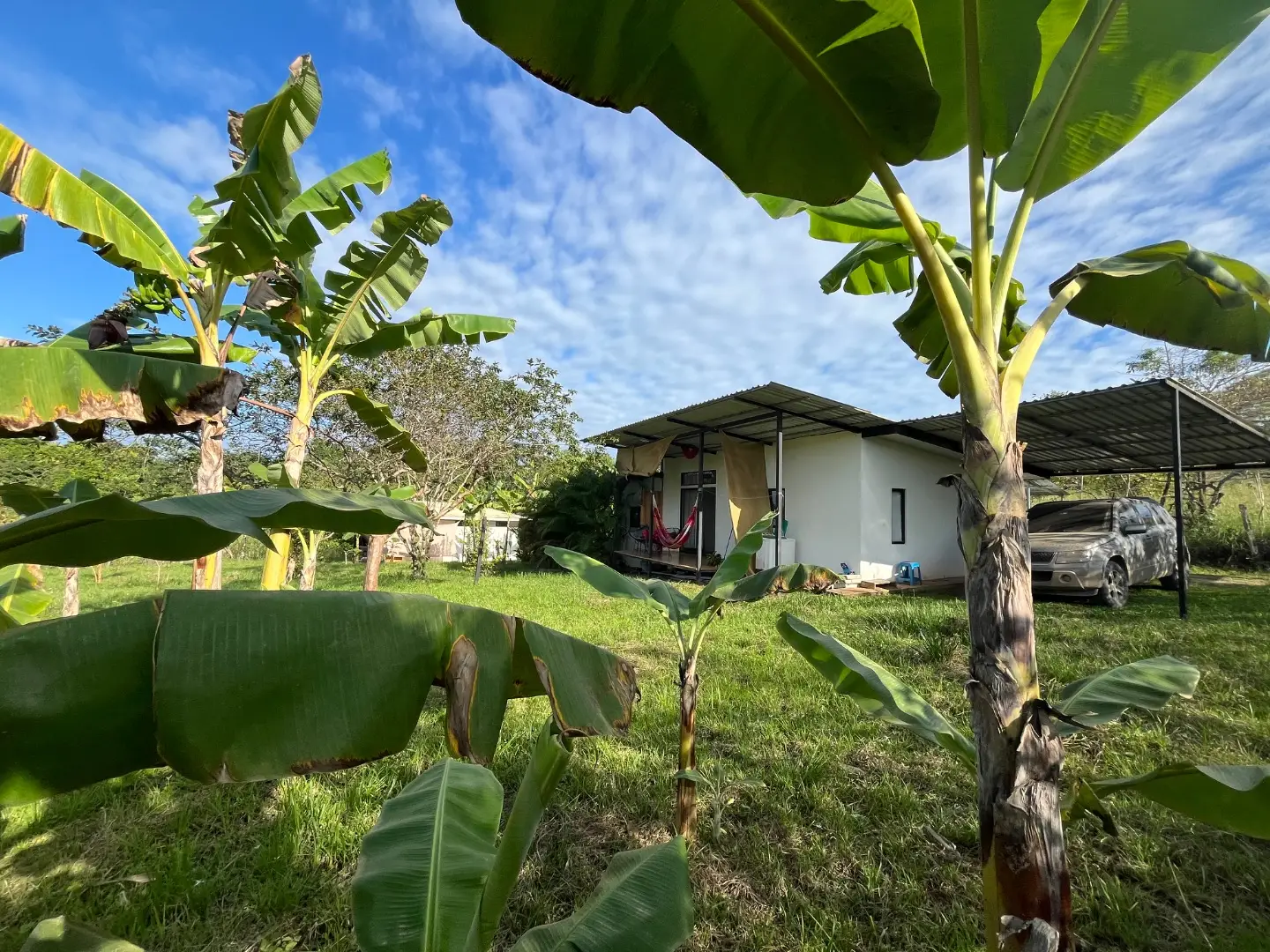 Two New Homes Near Santa Teresa - Income Property in Delicias  - image 2