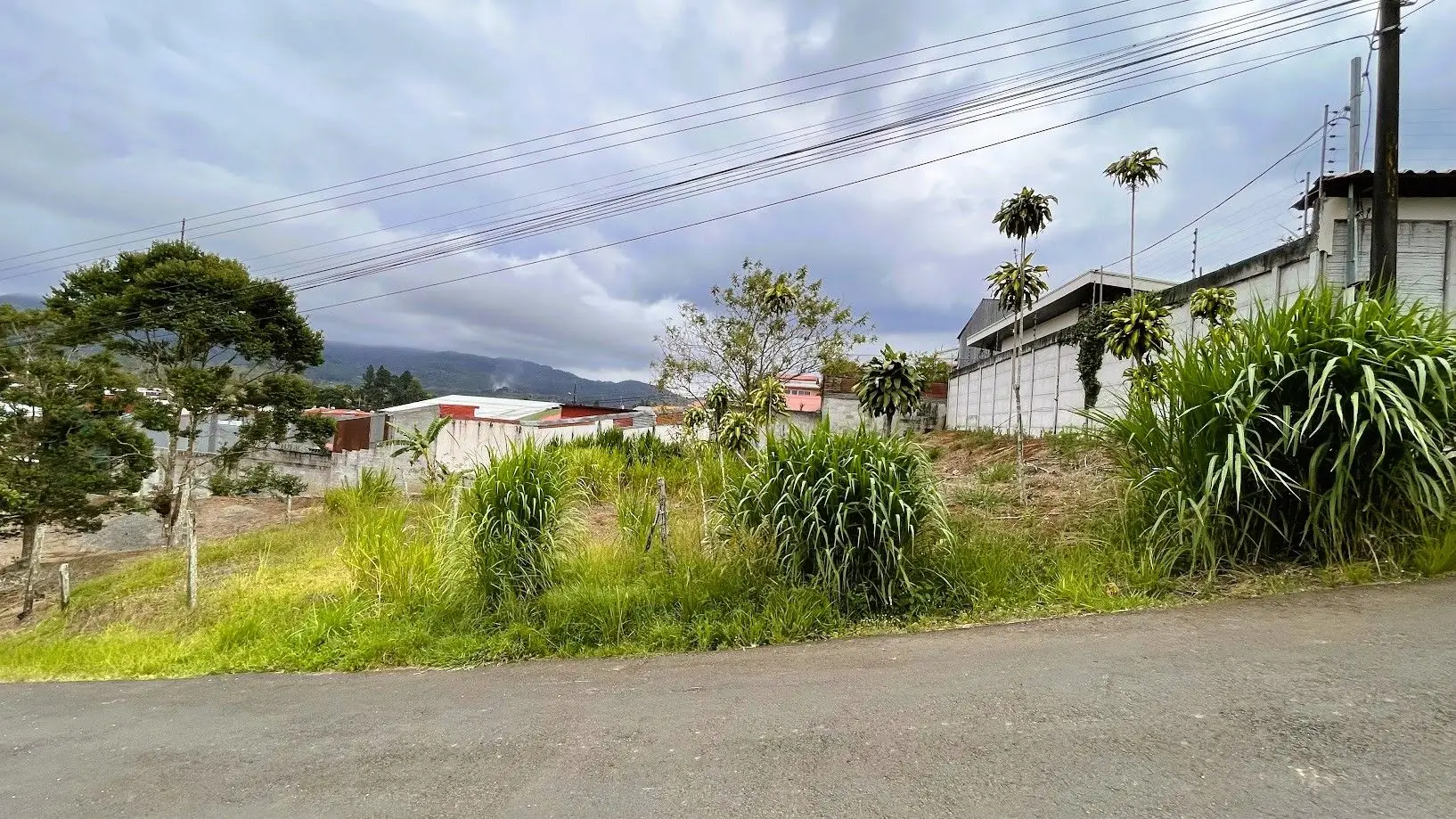 LOT FOR SALE IN SAN RAMON, ALAJUELA - image 3