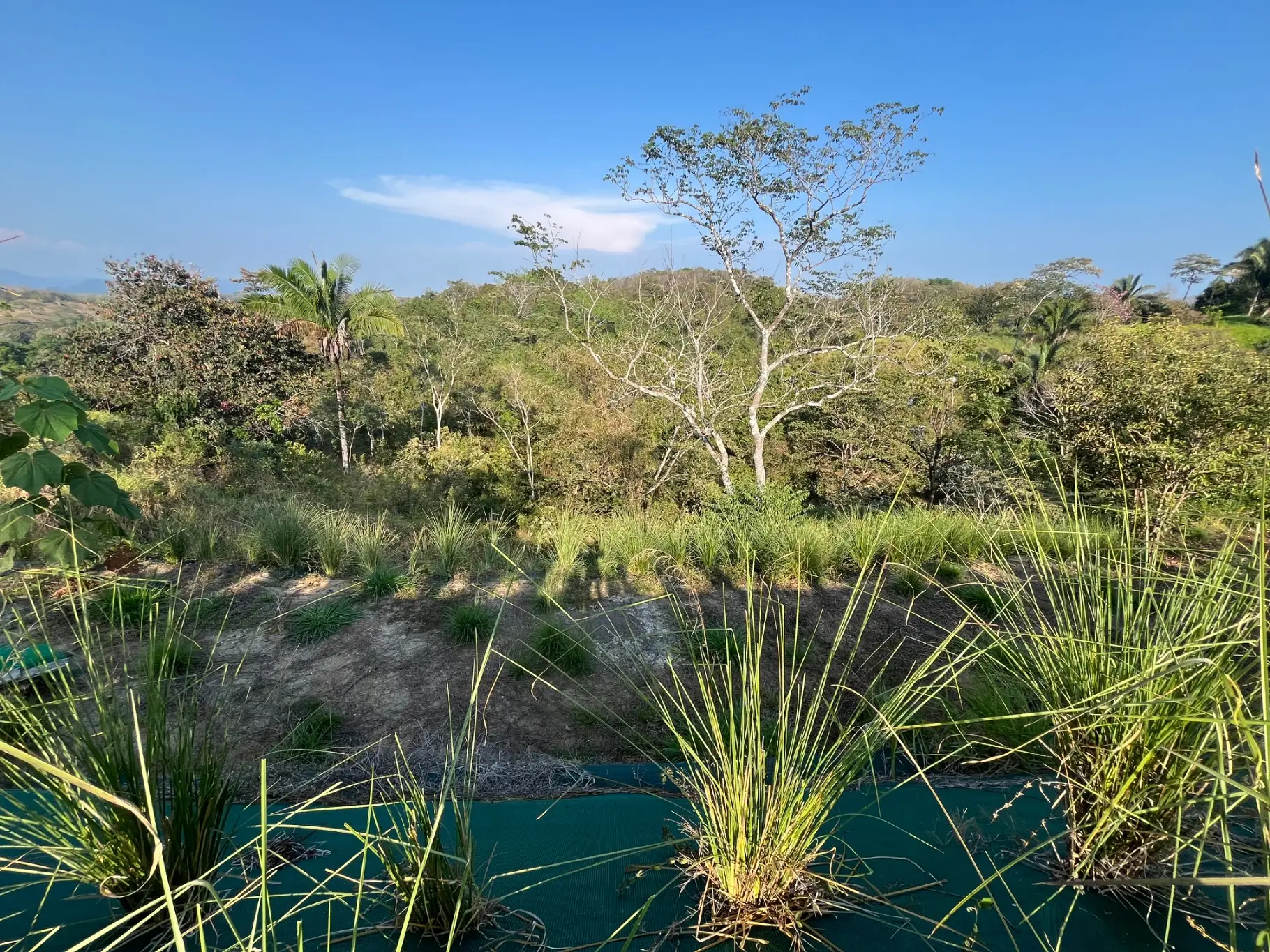 Lot with three building sites minutes to Hermosa in quiet neighborhood  - image 8