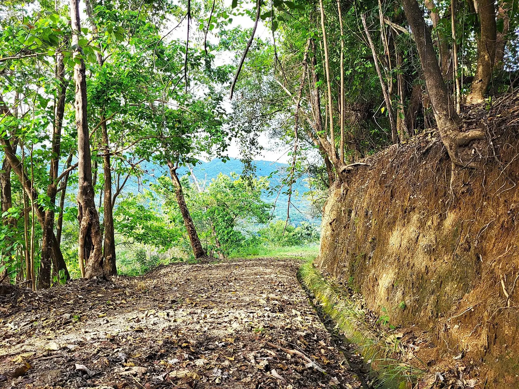 Mountaintop Ocean View Lot in Private, Gated Community Overlooking Tambor - image 2