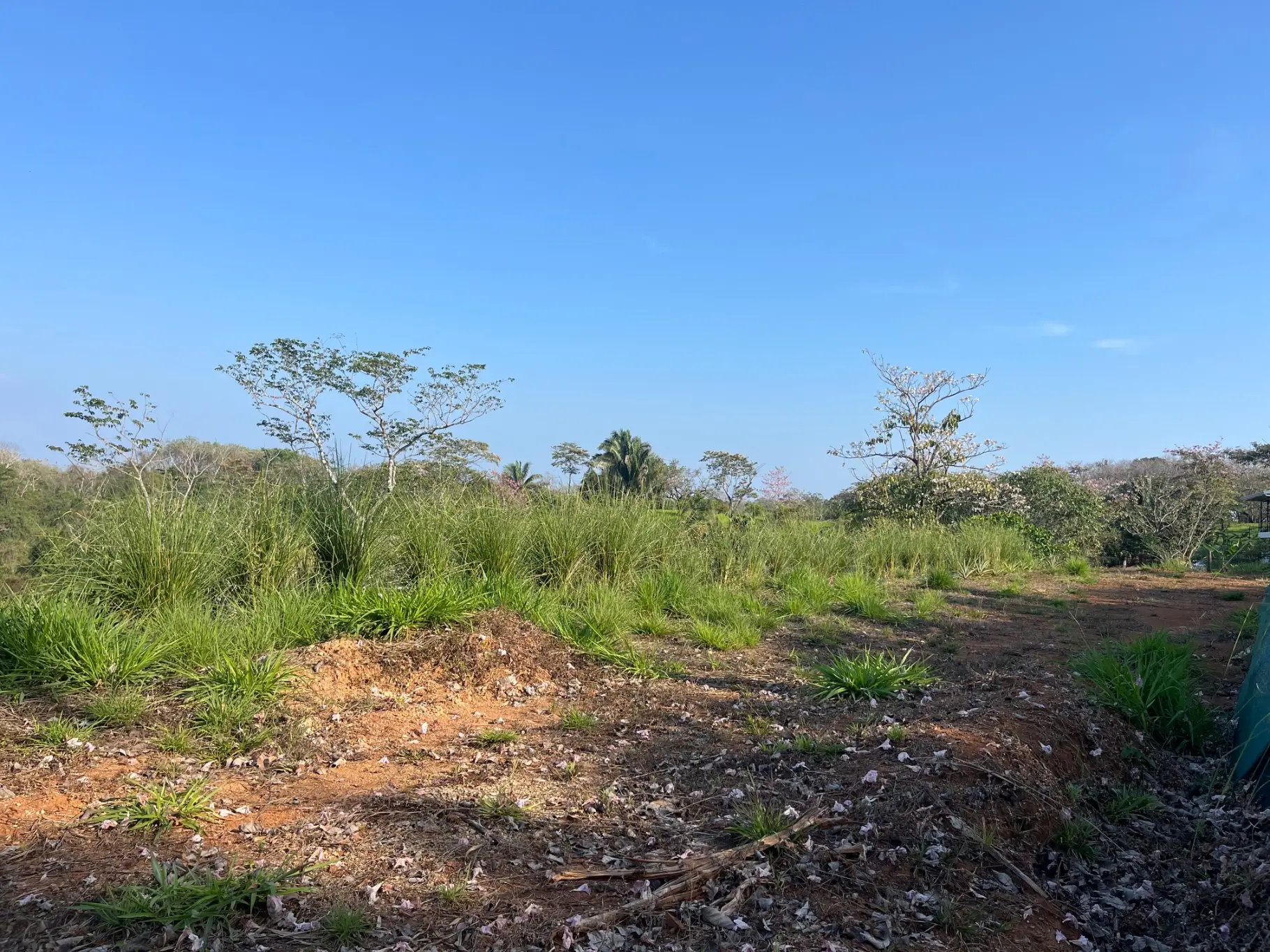 Lot with three building sites minutes to Hermosa in quiet neighborhood  - image 10