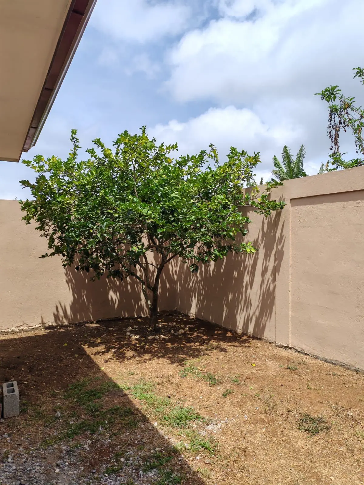 Charming 3-Bedroom Home in San Ramón, Alajuela - Move-In Ready! - image 7