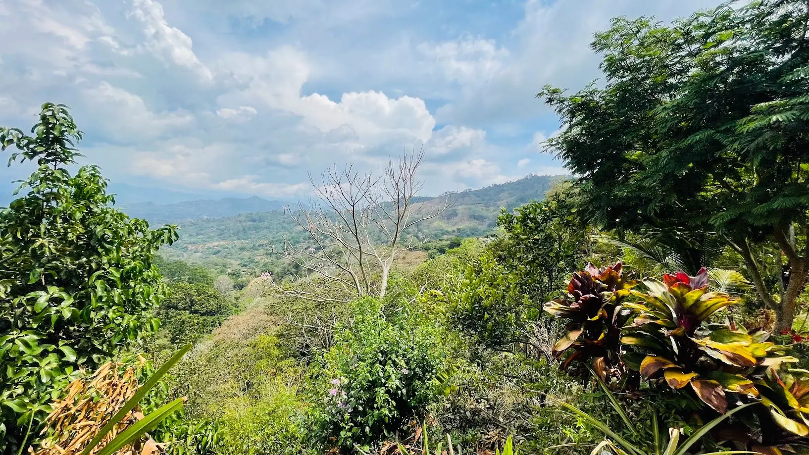 LAND FOR SALE IN ATENAS, ALAJUELA  - image 8