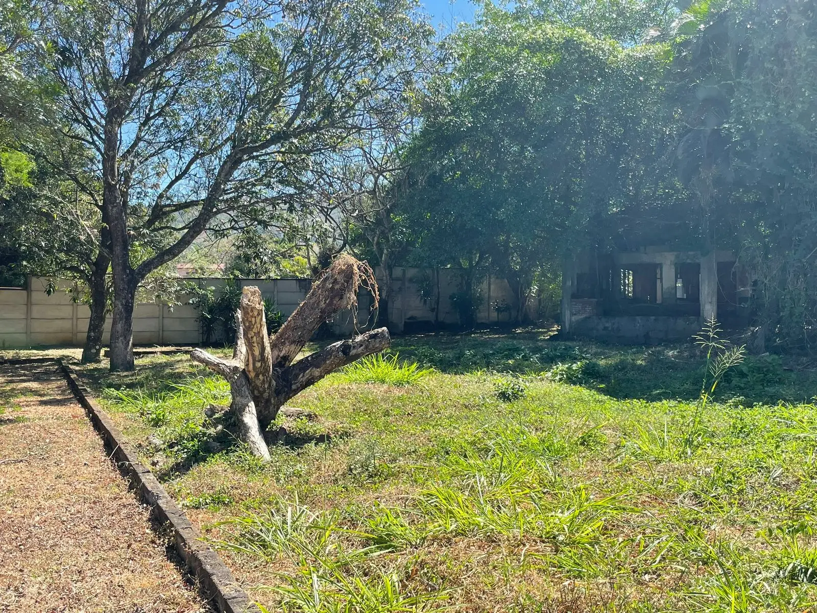 For Sale: large lot in Ciudad Colon  - image 4