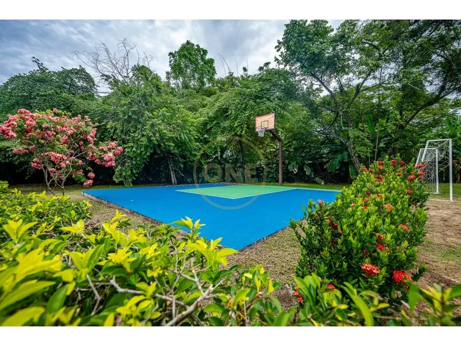 Modern 4-Bedroom House in Jacó: New Build with Spacious Living & Outdoor Oasis - image 10