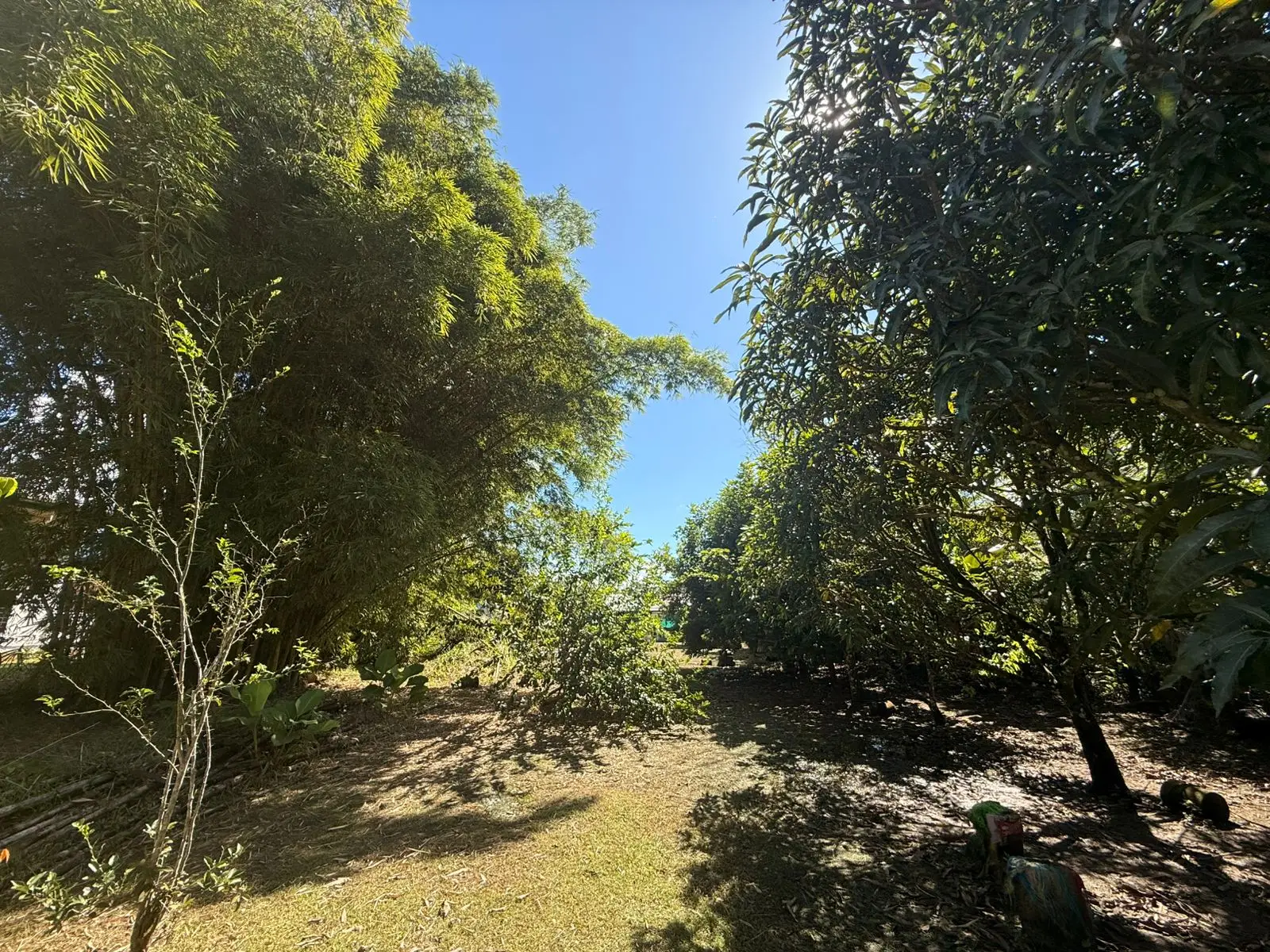 Incredible lot near the center - image 2