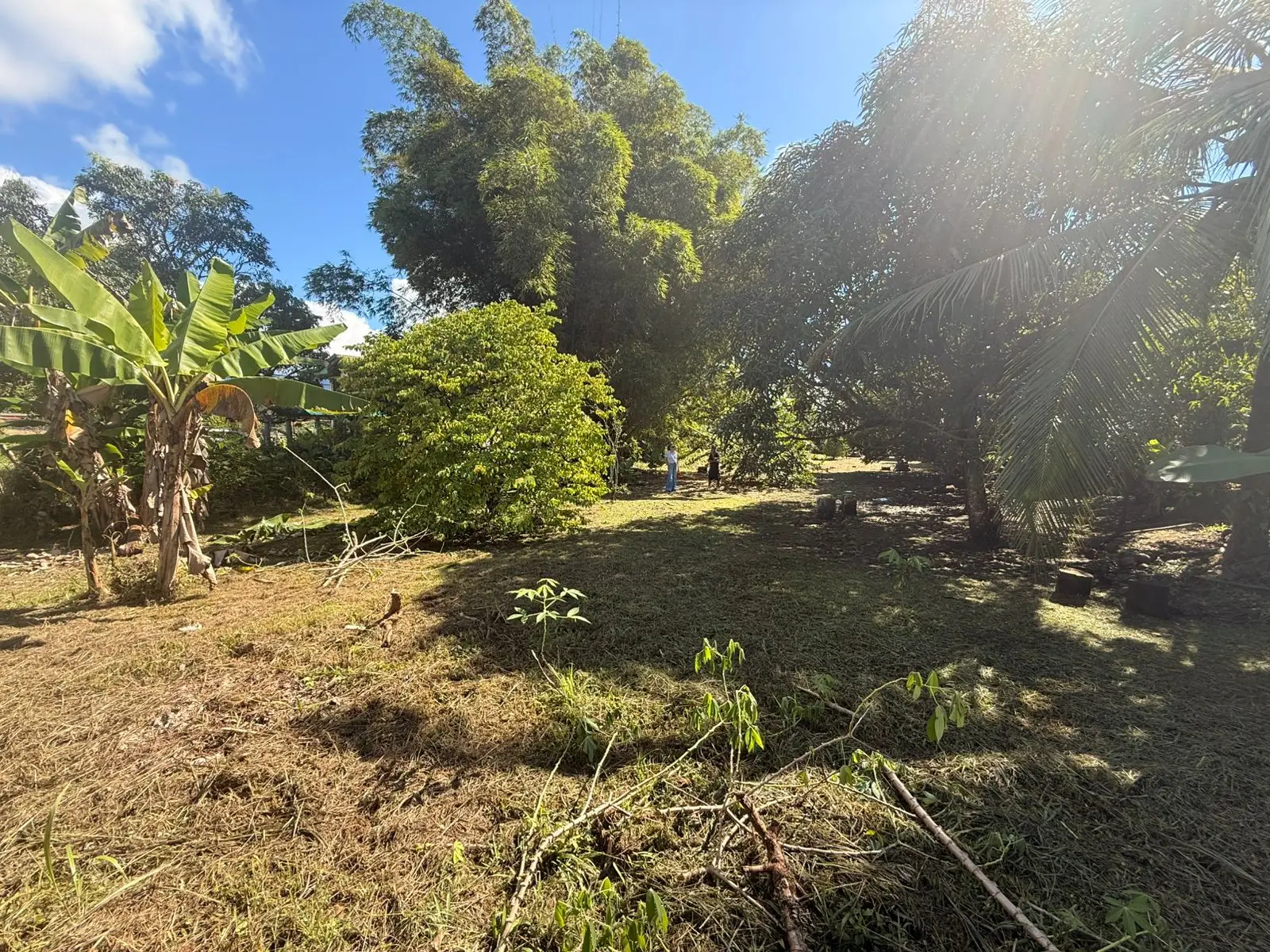 Incredible lot near the center - image 6