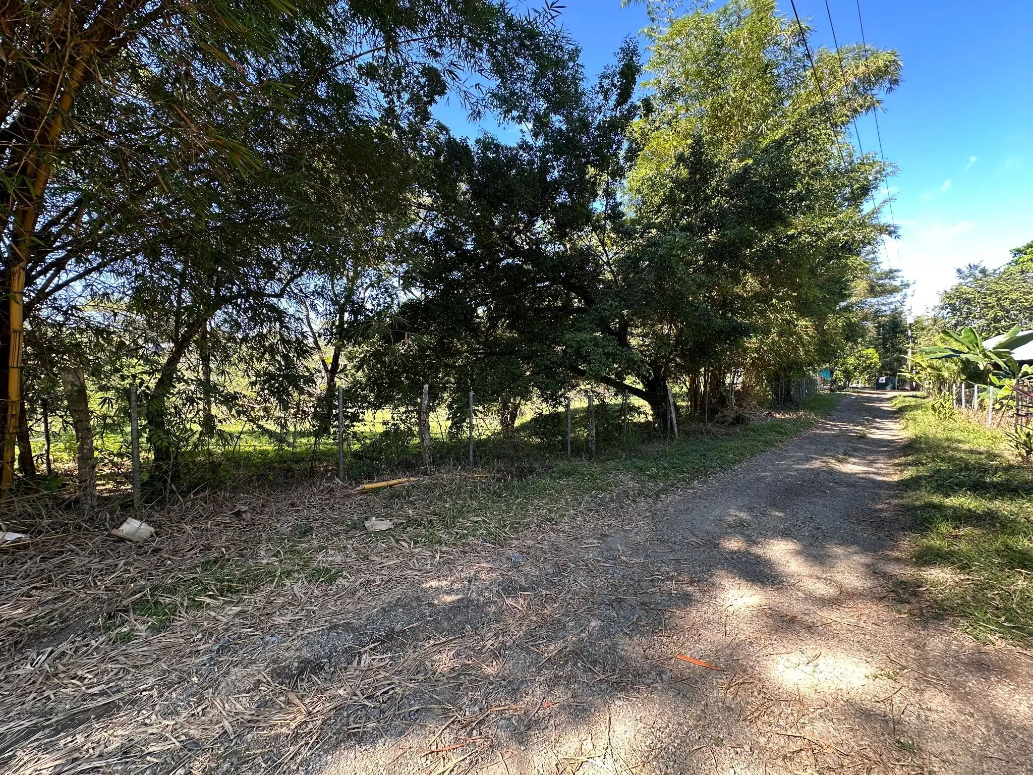 Serene 5000 m2 Lot-Lush Nature and Development Potenital- 10 Minutes from Santa Teresa - image 7