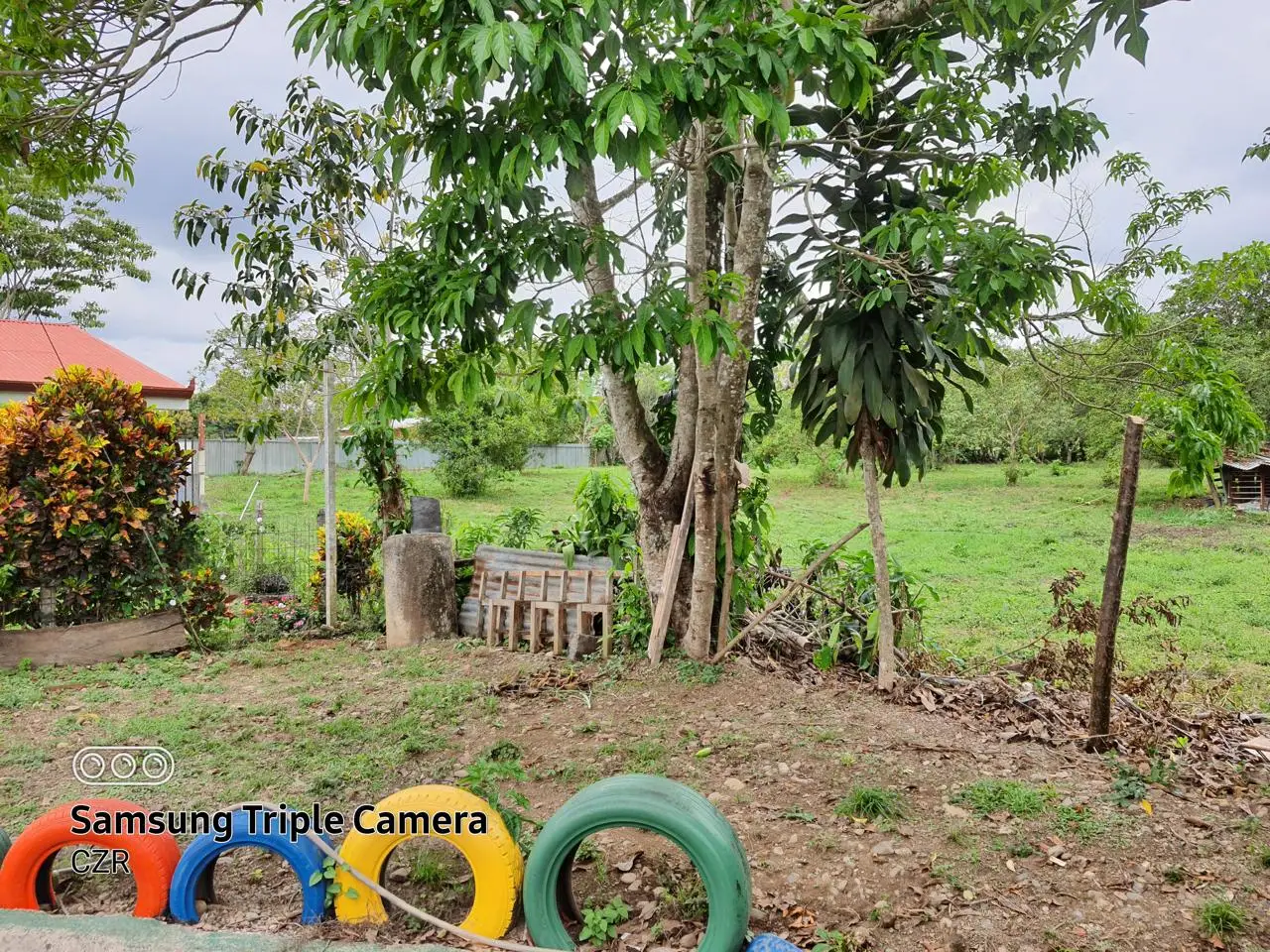 Prime Land for Sale in Palmares, Pérez Zeledón - image 4