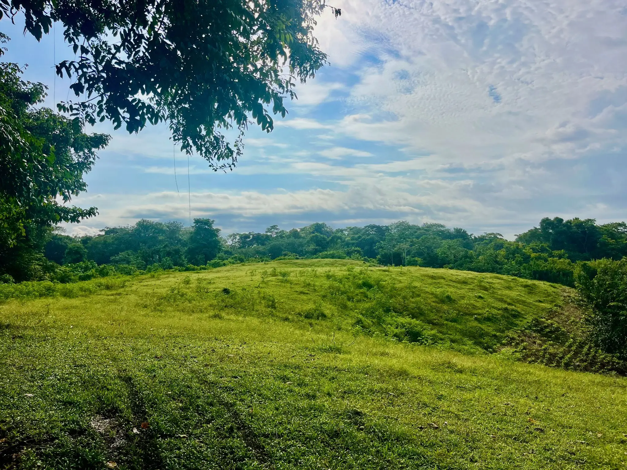 Exclusive Ocean View 2,7 hectares (6.8Acres) Estate Land in Playa Hermosa Hills - image 9