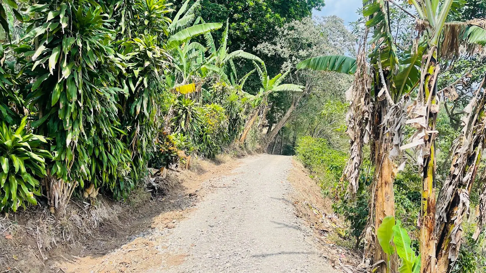 LAND FOR SALE IN ATENAS, ALAJUELA  - image 14